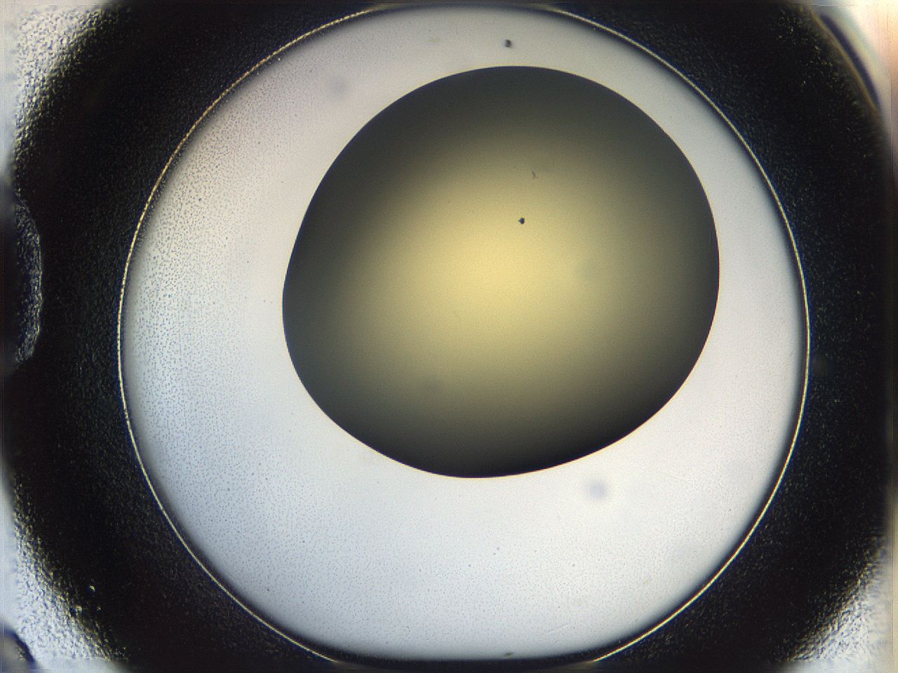 05k0_D9_ImagerDefaults_0.jpg