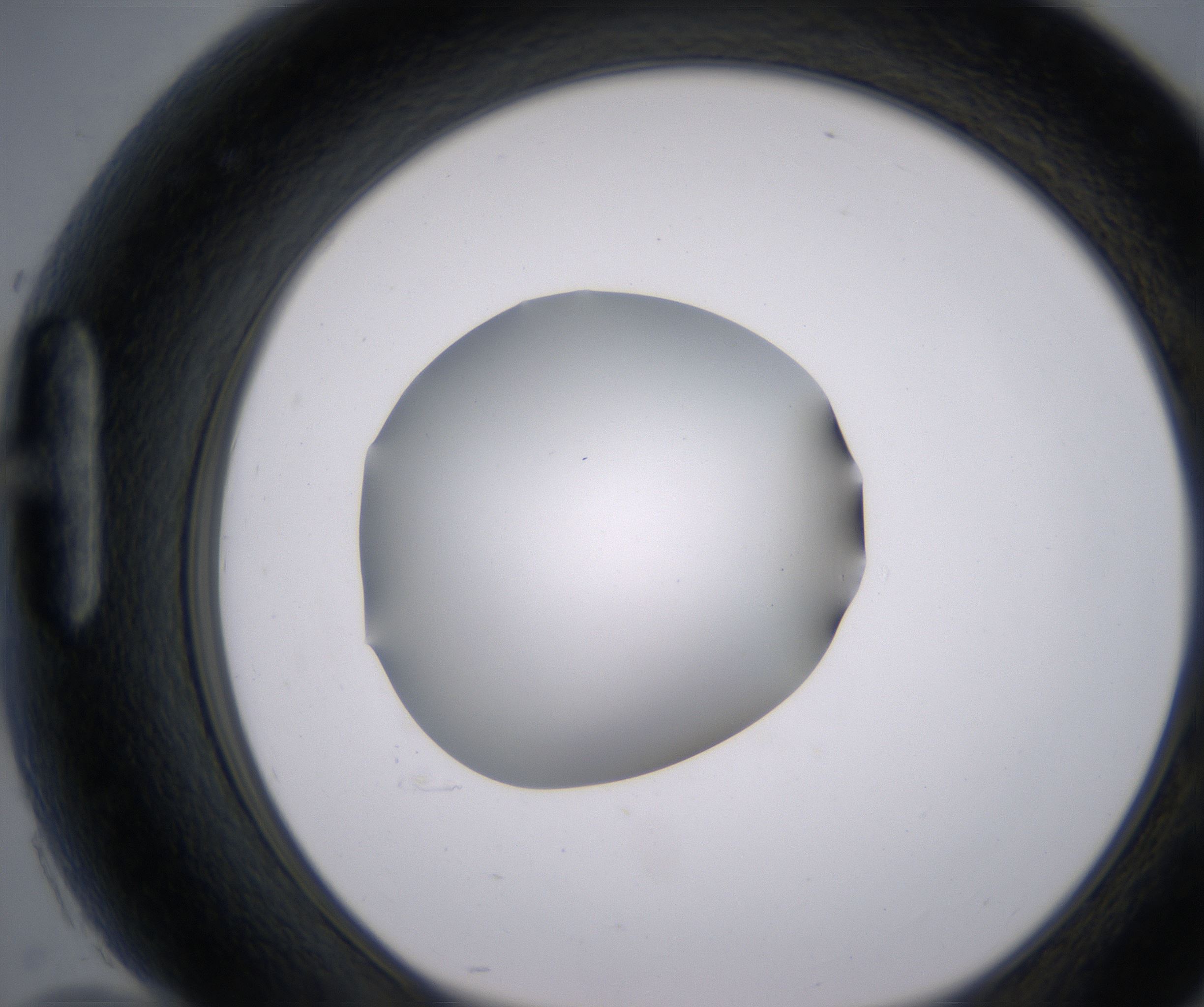 H10_HighResolution_Clear_1.jpg