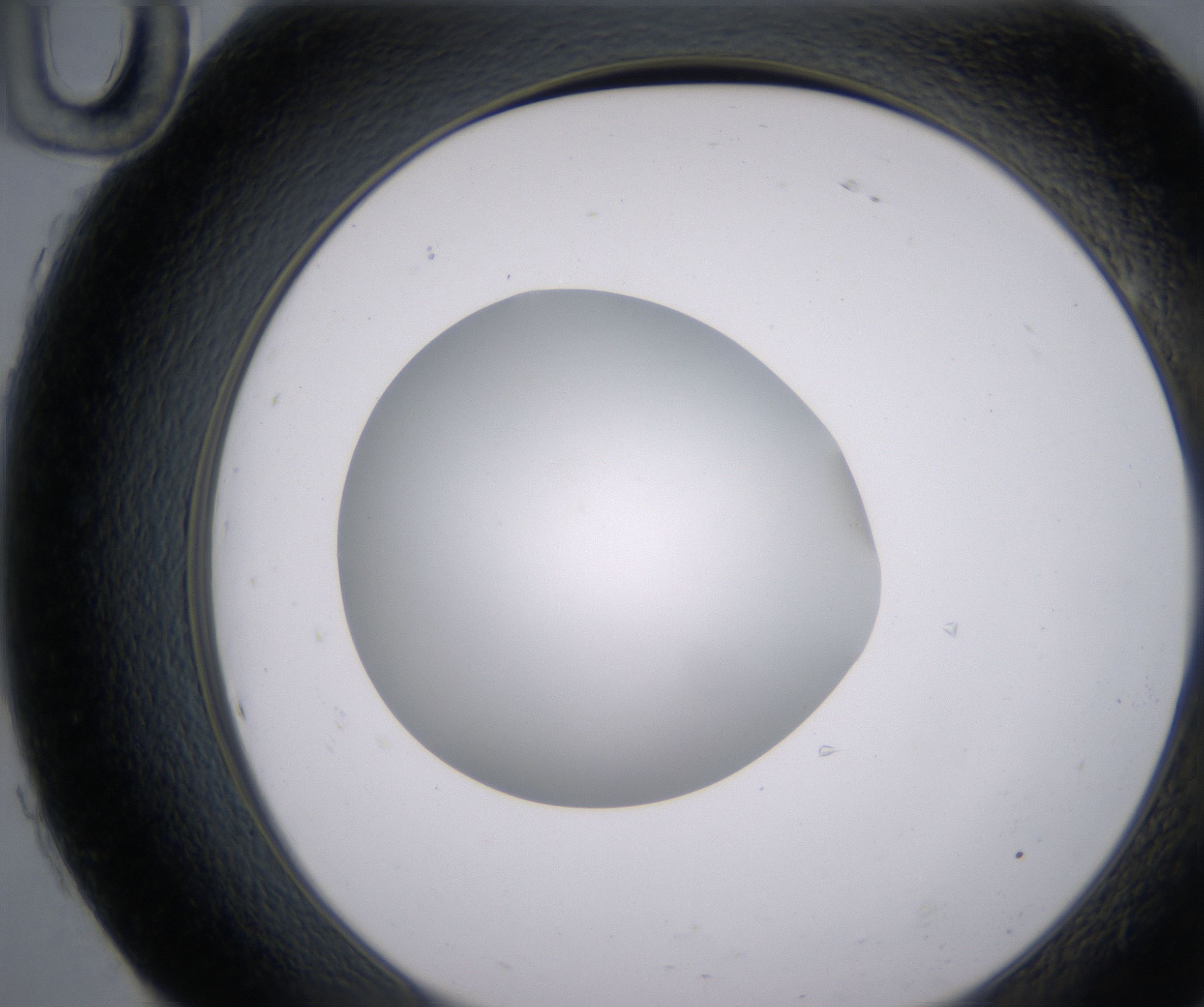 H10_HighResolution_Clear_2.jpg
