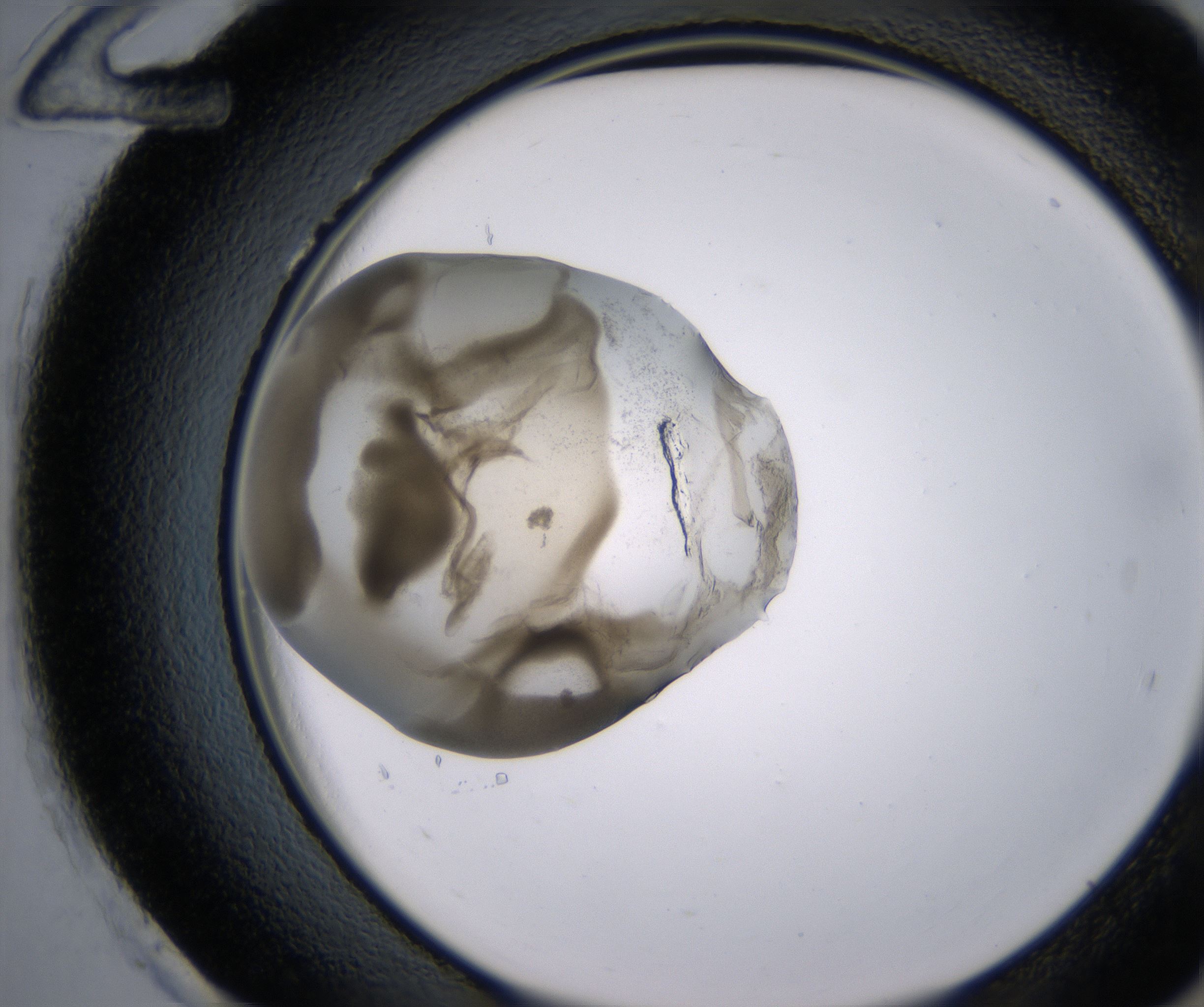 H12_HighResolution_Precipitate_2.jpg