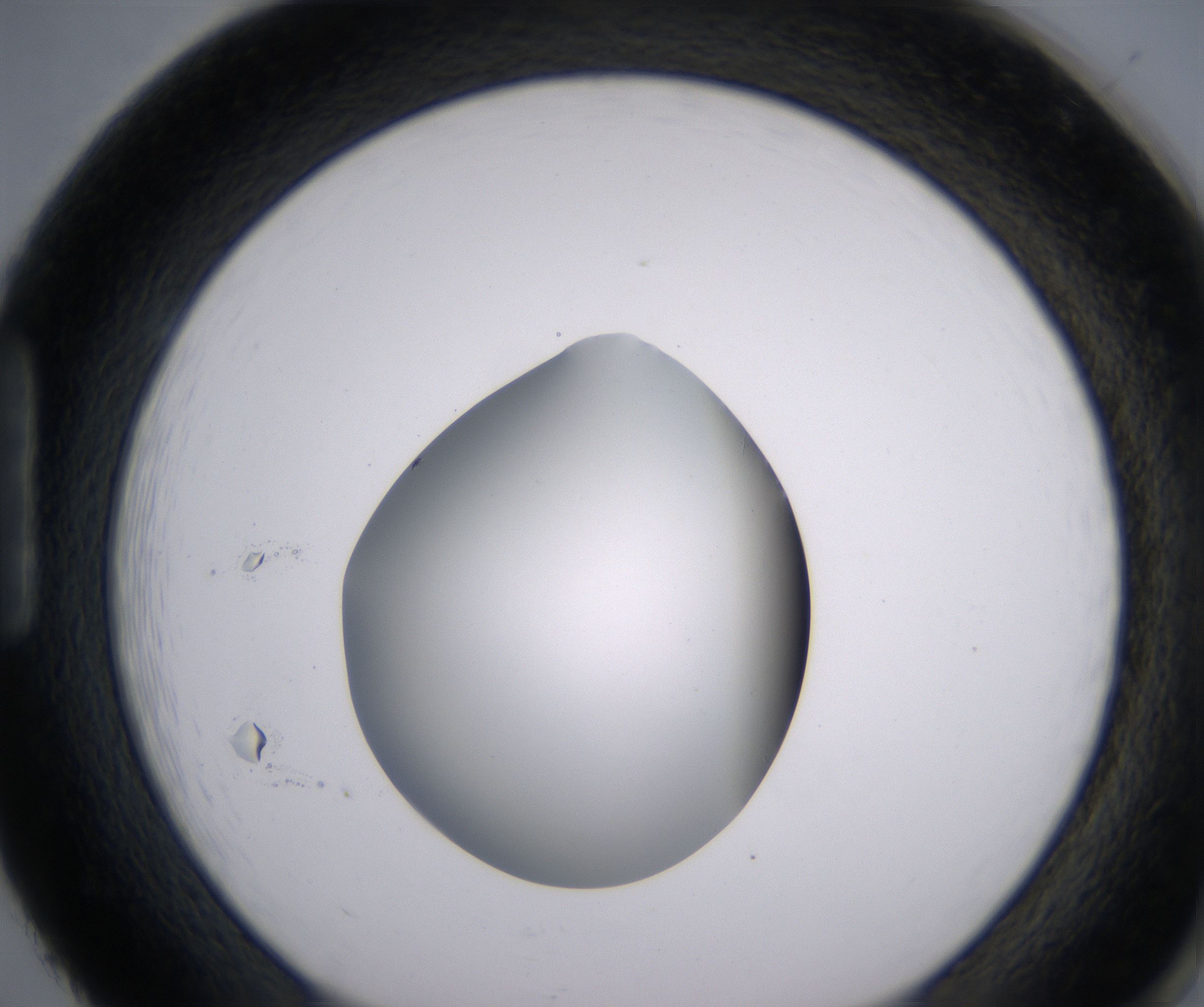 H2_HighResolution_Clear_1.jpg