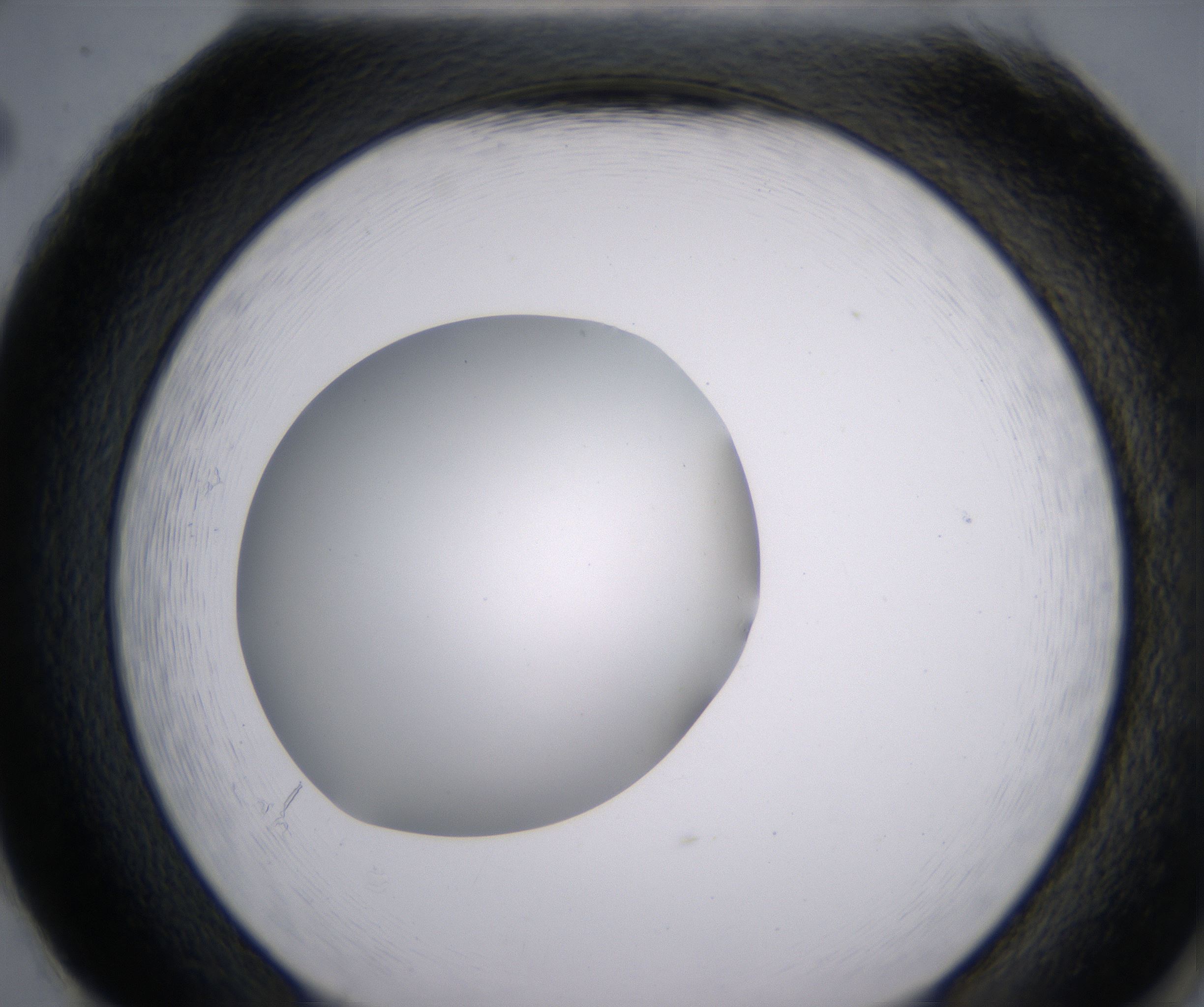 H2_HighResolution_Clear_2.jpg