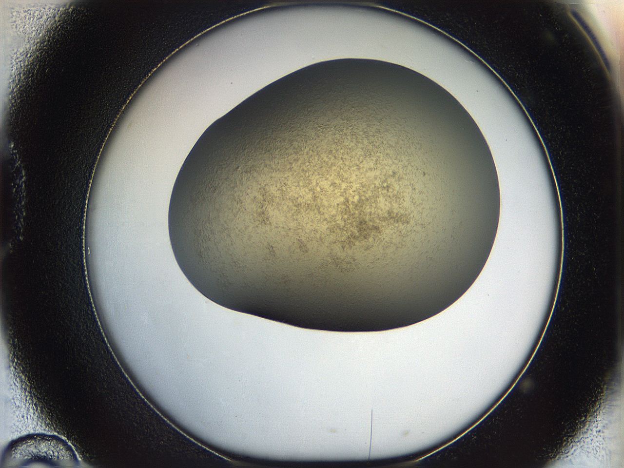05k0_D10_ImagerDefaults_2.jpg