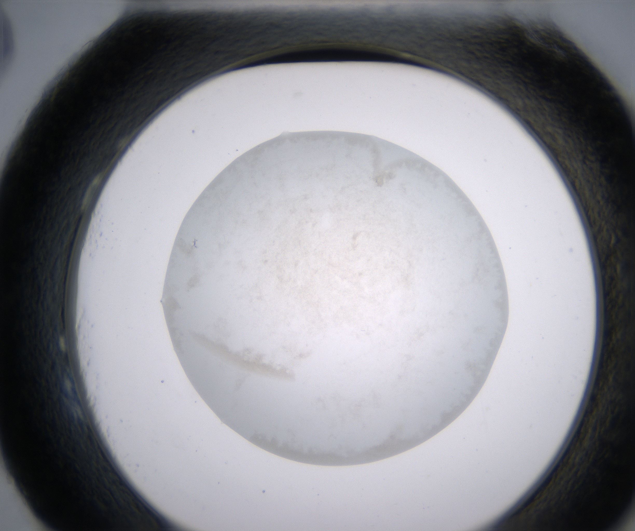 H3_HighResolution_Precipitate_2.jpg