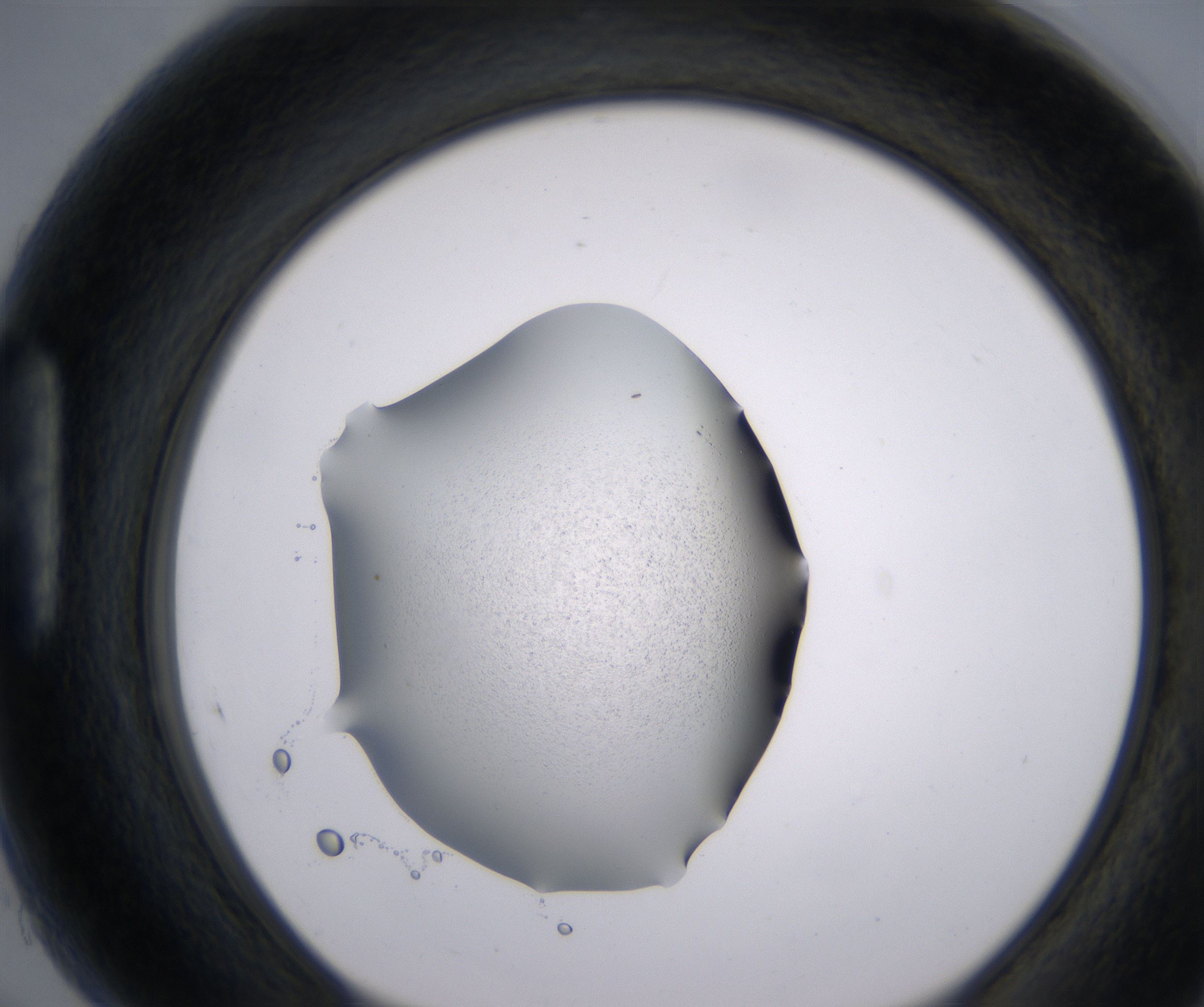 H5_HighResolution_Precipitate_1.jpg
