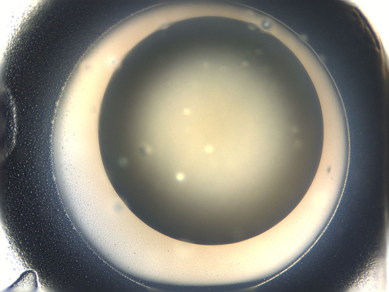 05k0_D11_ImagerDefaults_0.jpg