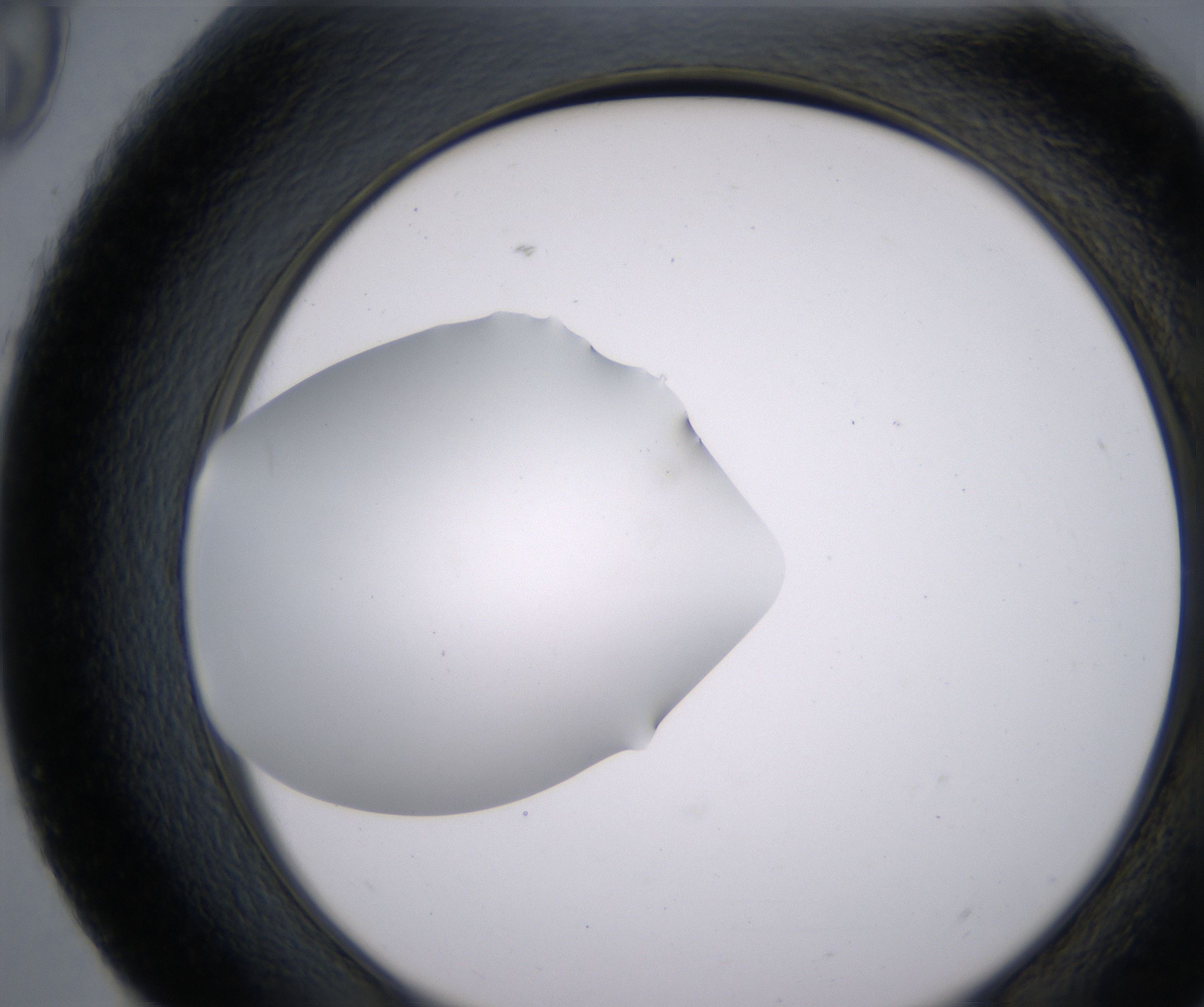 H9_HighResolution_Clear_2.jpg