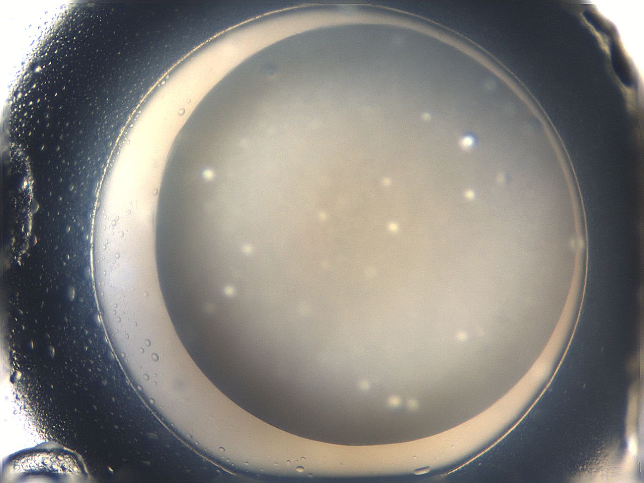 05k0_D12_ImagerDefaults_0.jpg