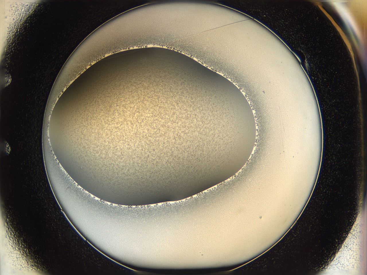 05k0_E1_ImagerDefaults_2.jpg