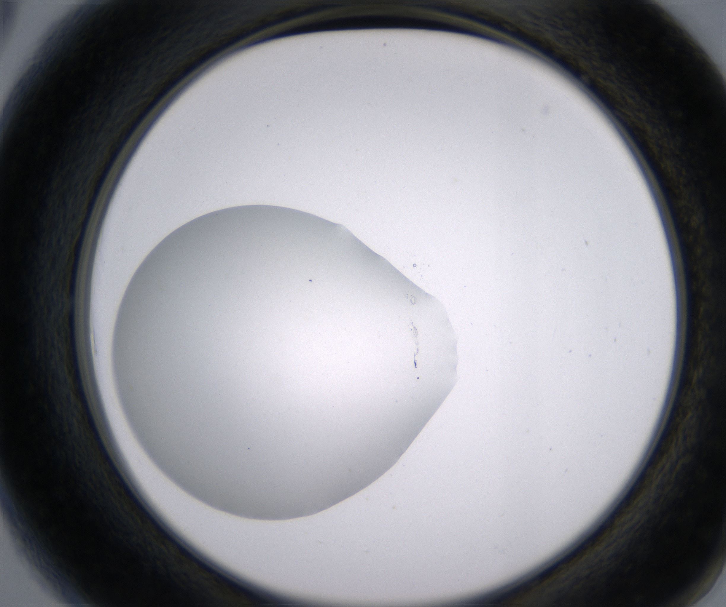 A6_HighResolution_Clear_2.jpg