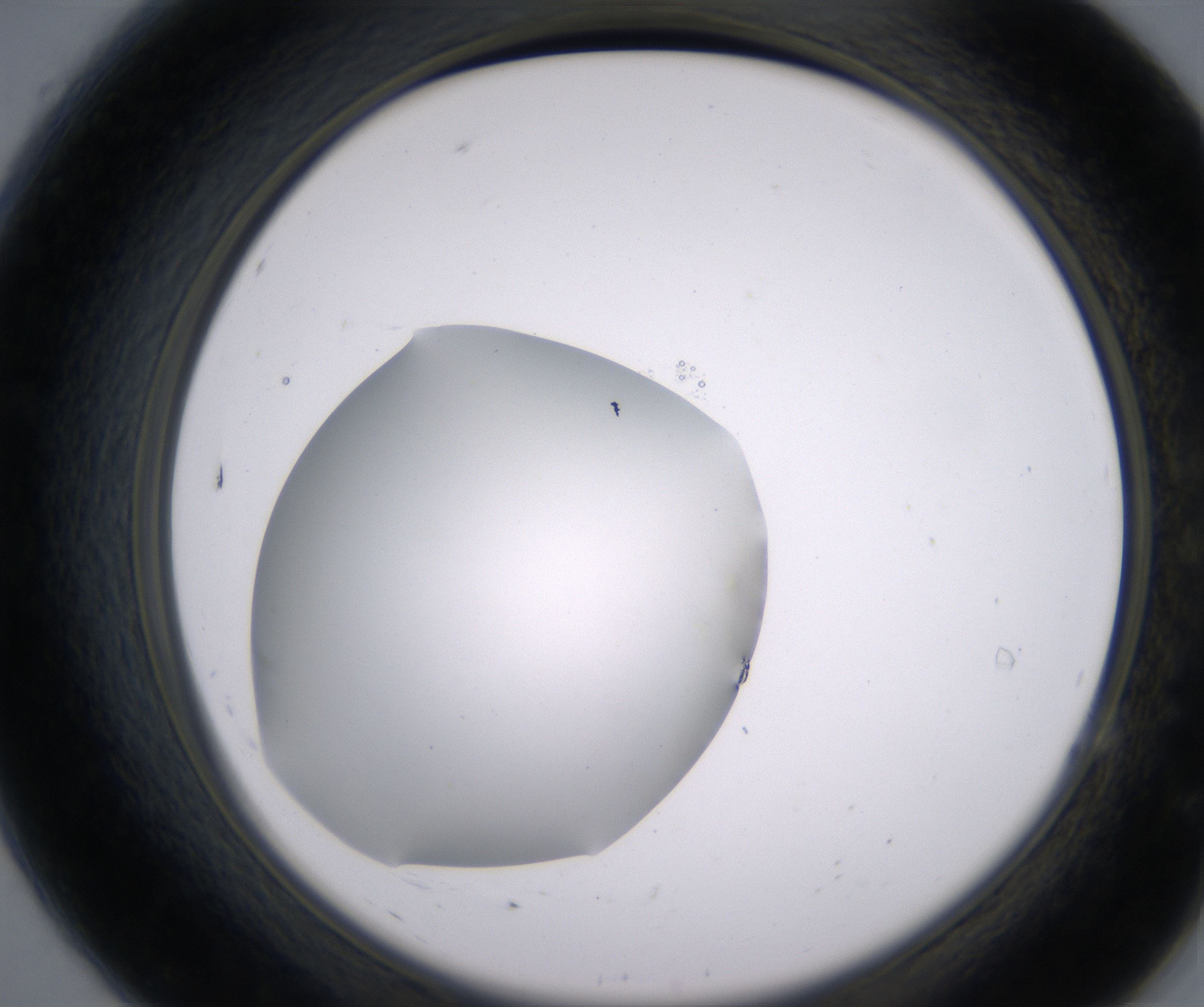 A7_HighResolution_Clear_2.jpg