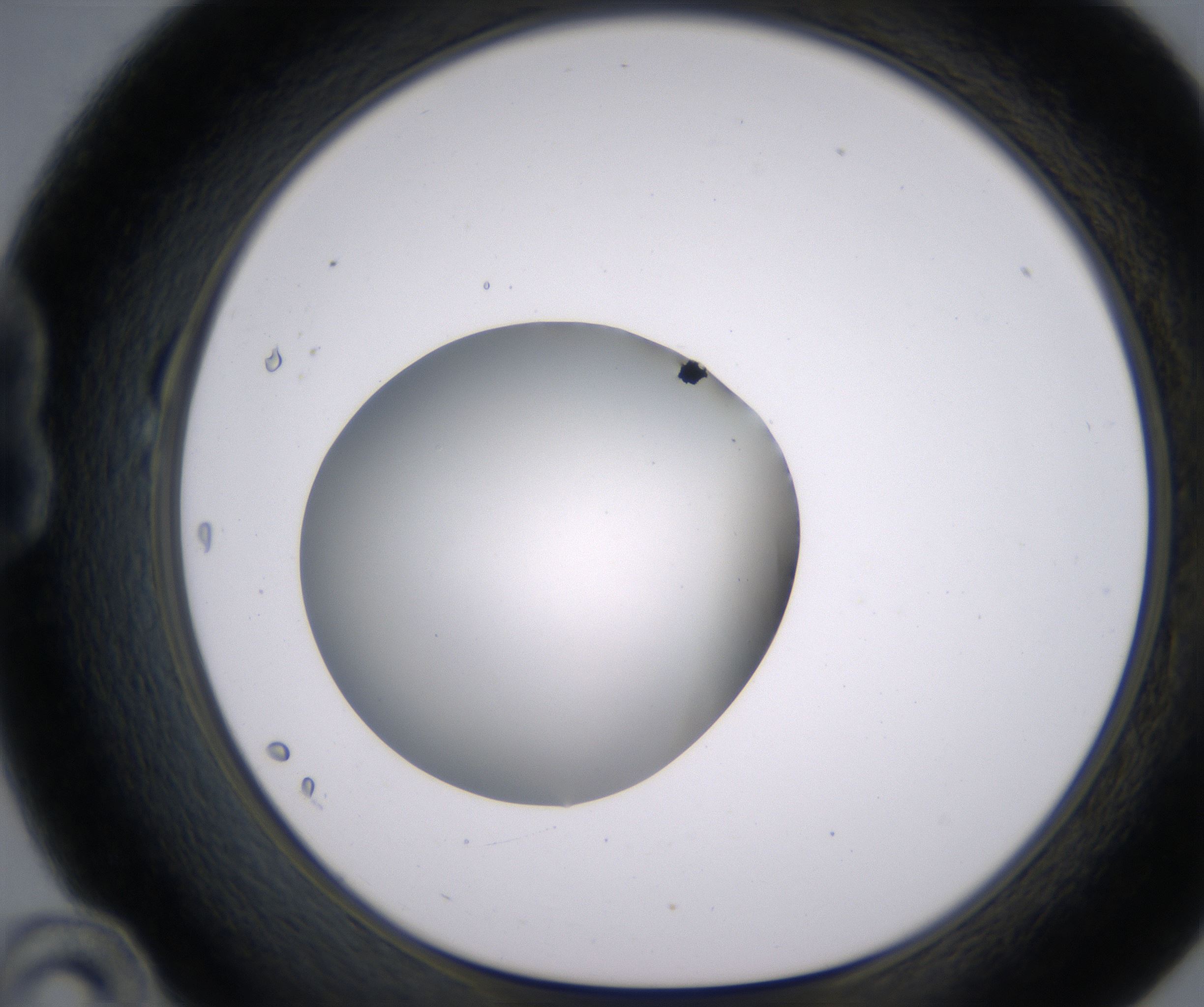 B10_HighResolution_Clear_1.jpg