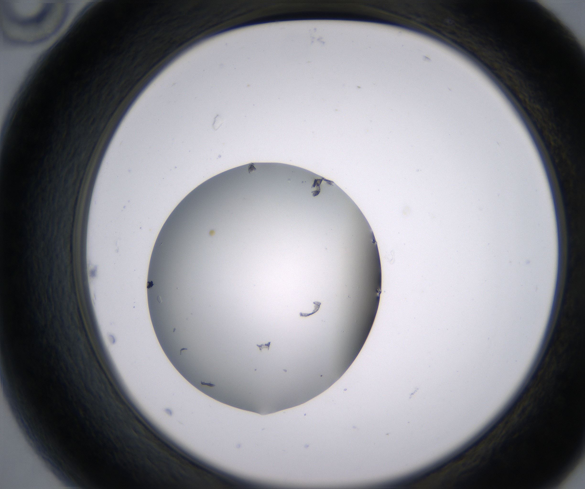 B10_HighResolution_Clear_2.jpg