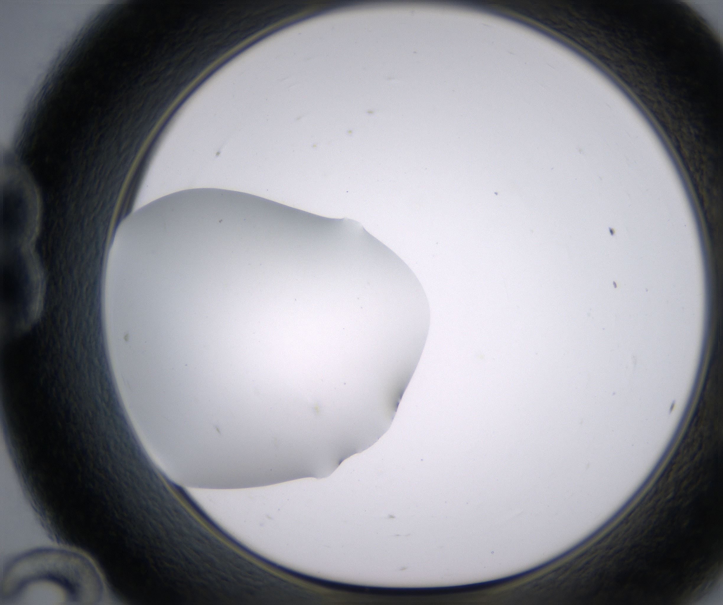 B12_HighResolution_Clear_1.jpg