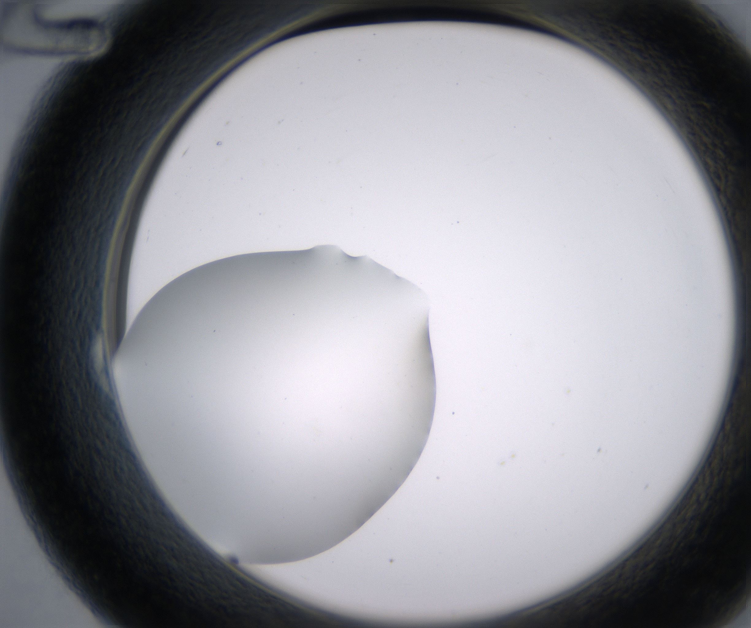 B12_HighResolution_Clear_2.jpg
