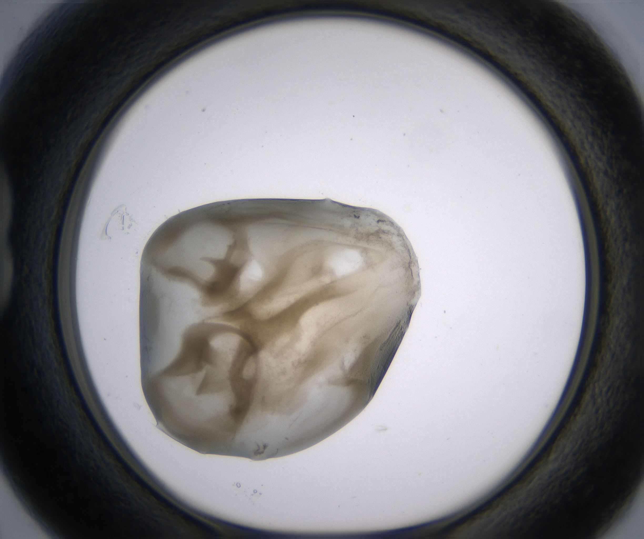 B3_HighResolution_Precipitate_1.jpg
