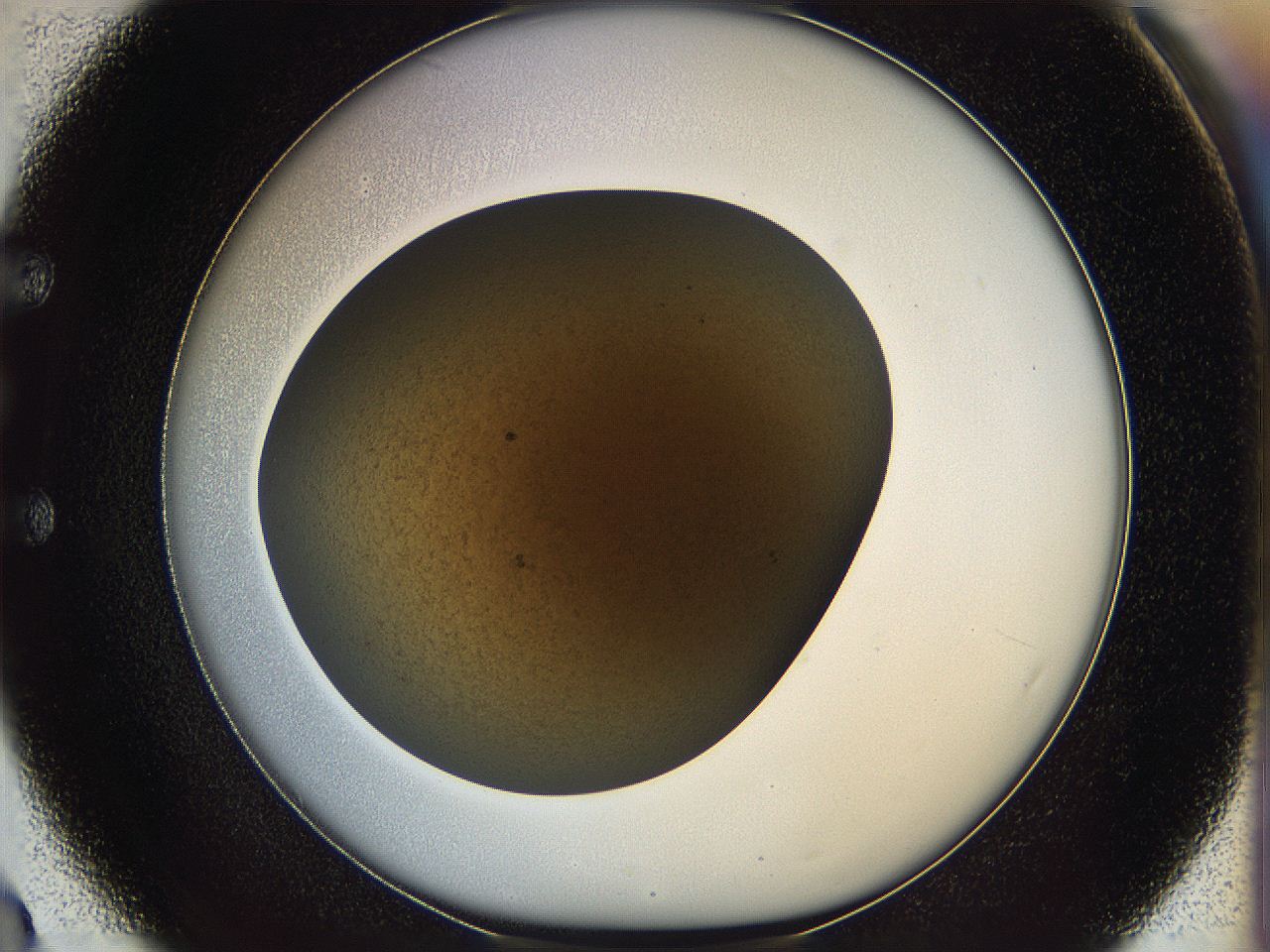 05k0_E3_ImagerDefaults_3.jpg