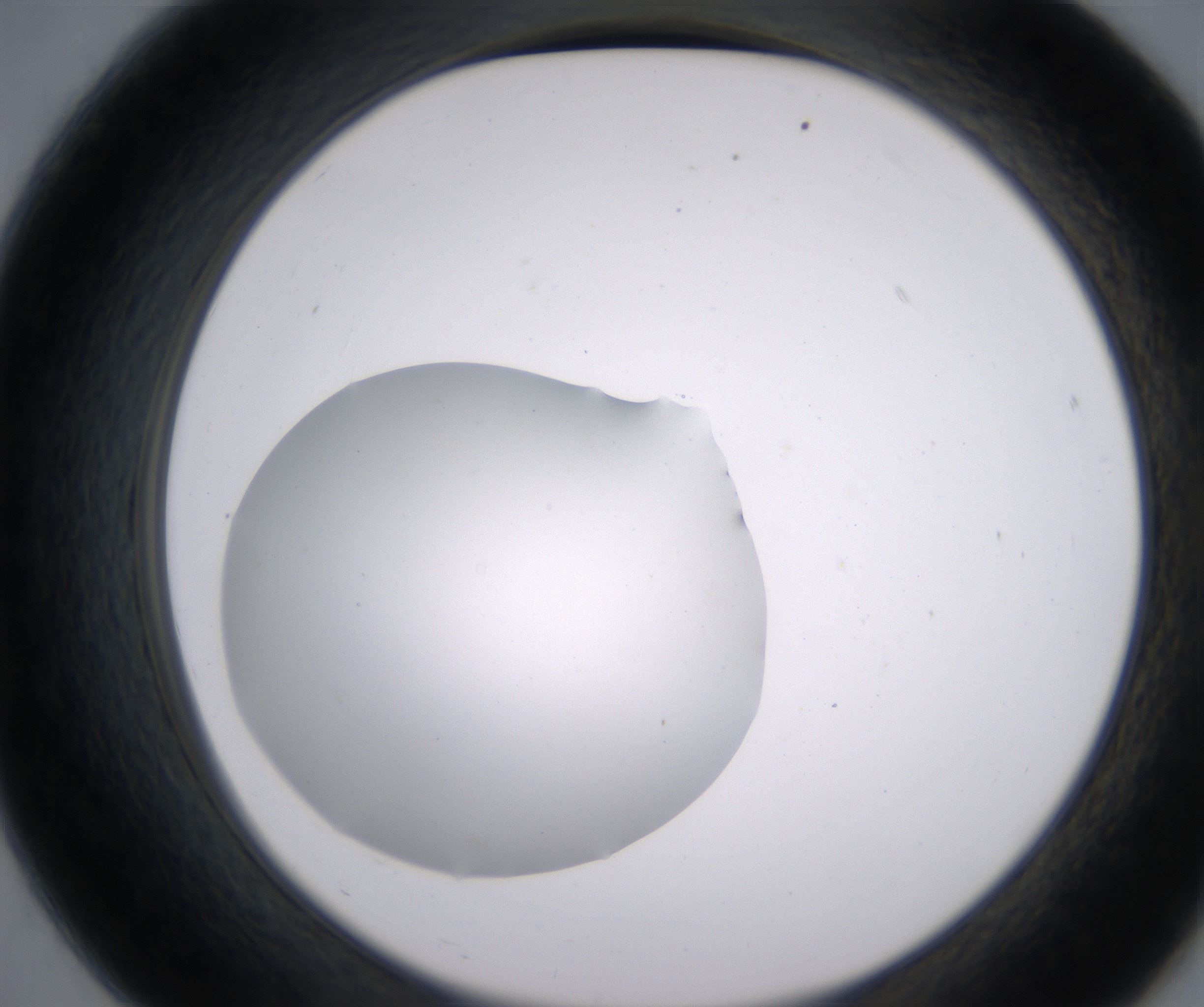 B7_HighResolution_Clear_2.jpg