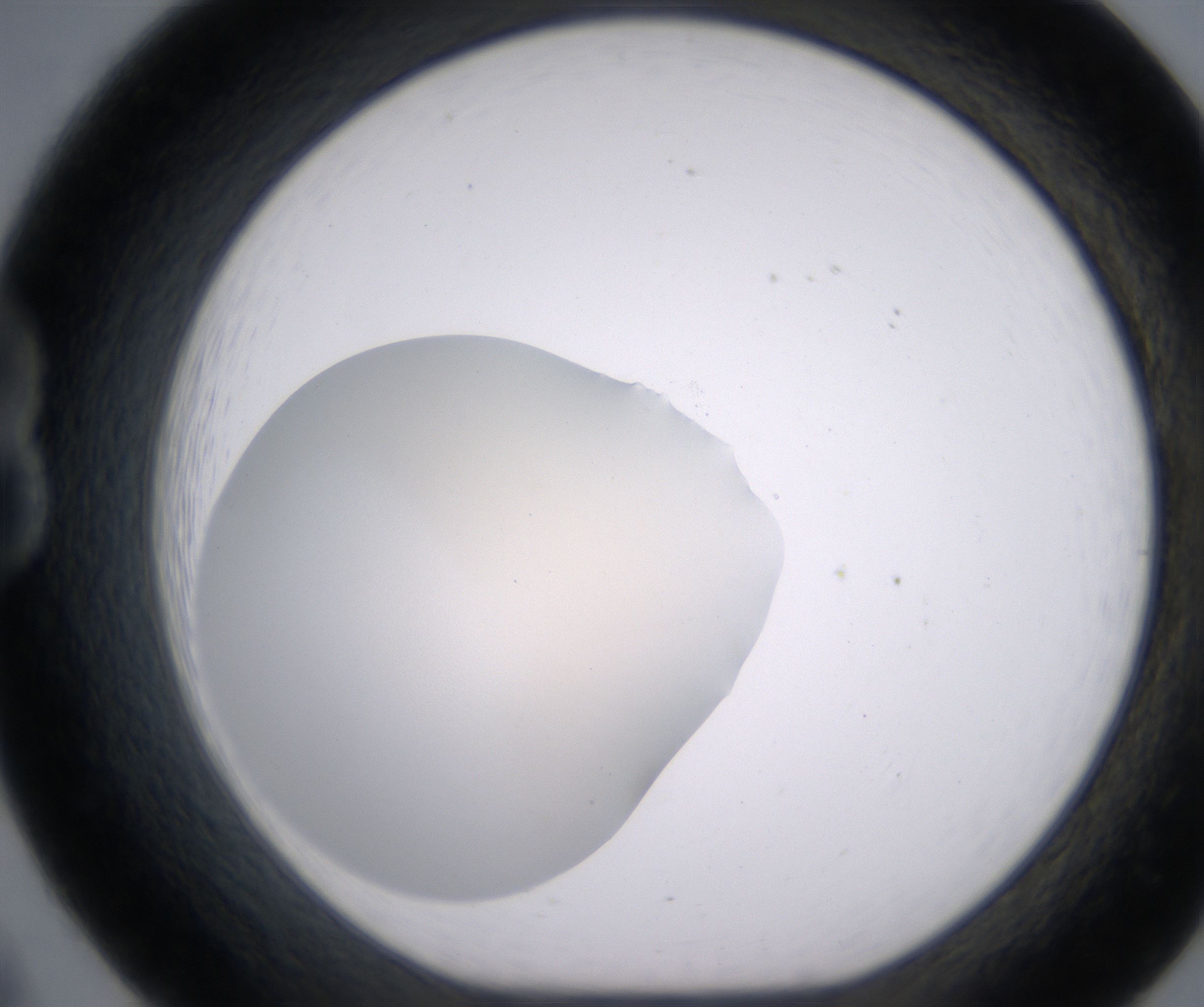 B8_HighResolution_Clear_1.jpg