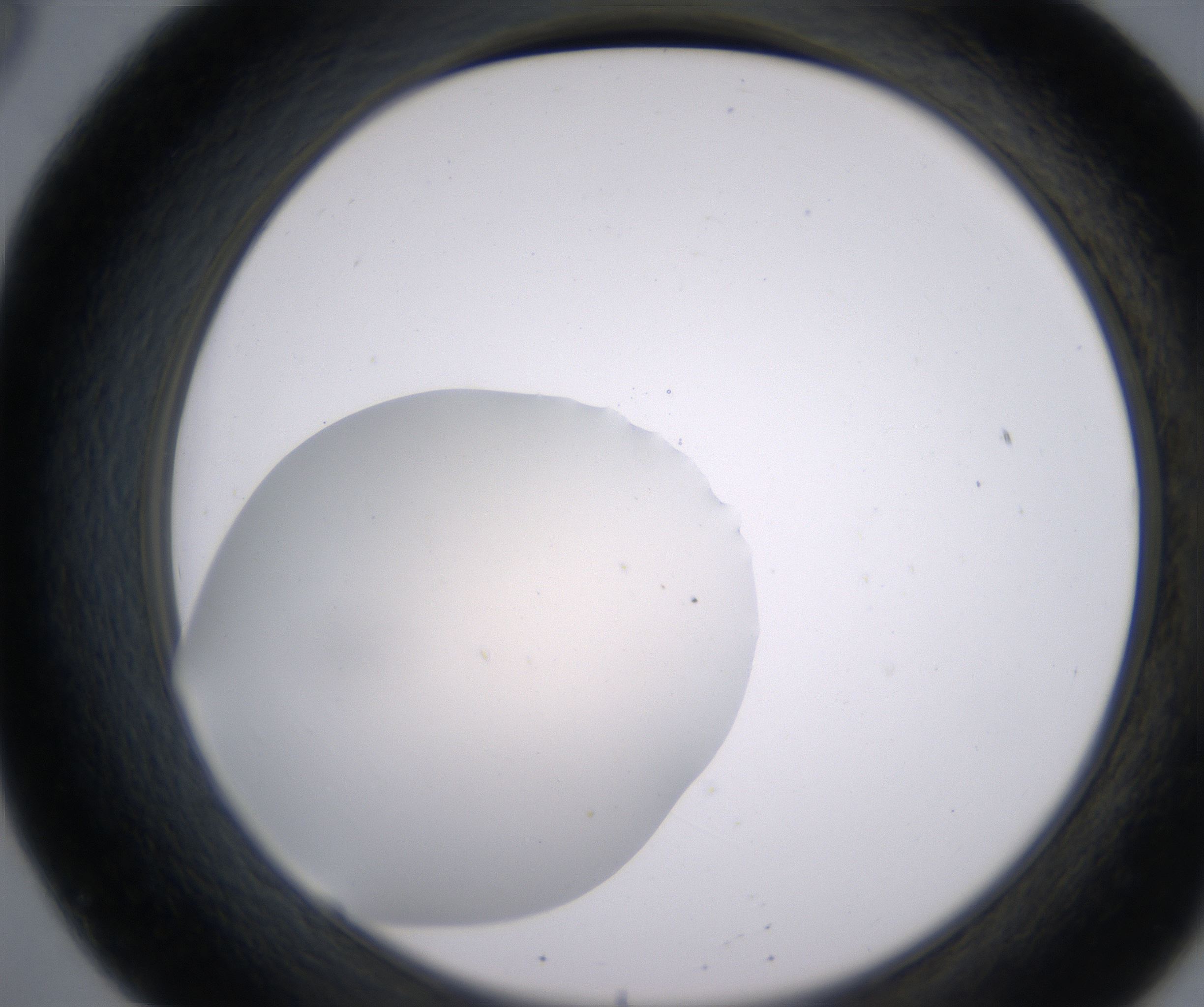 B8_HighResolution_Clear_2.jpg