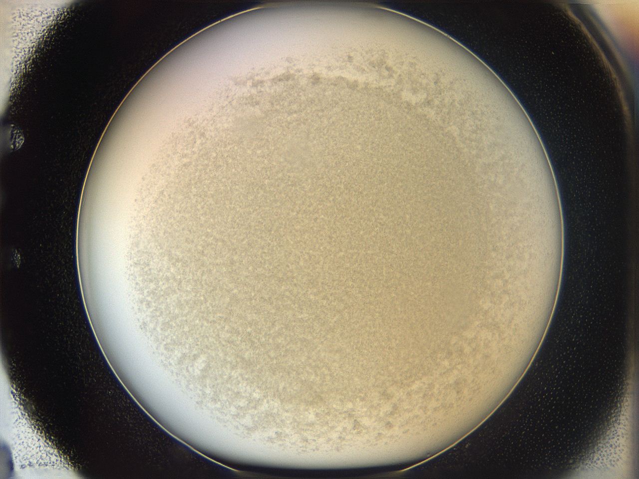 05k0_E4_ImagerDefaults_3.jpg