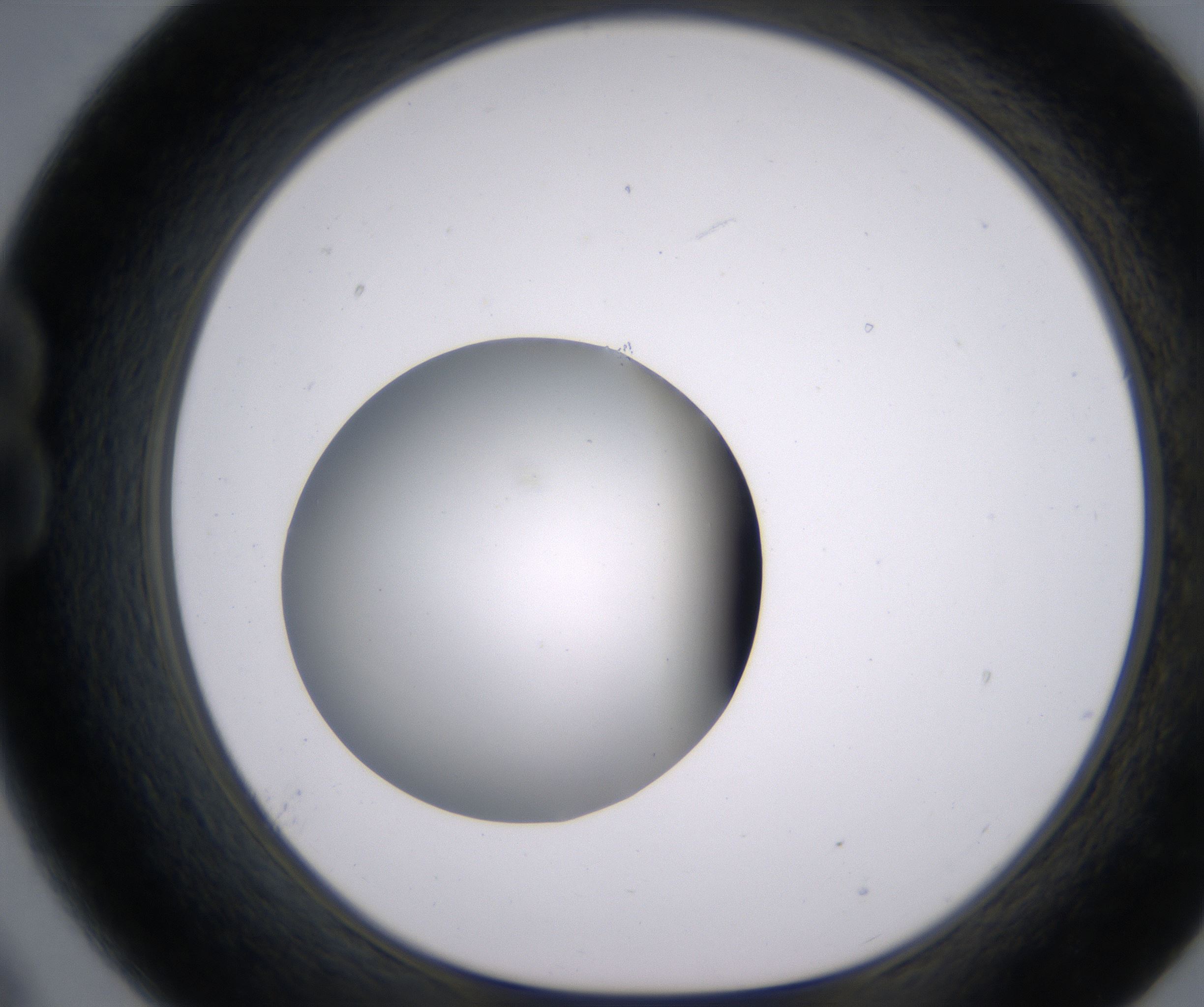 B9_HighResolution_Clear_1.jpg