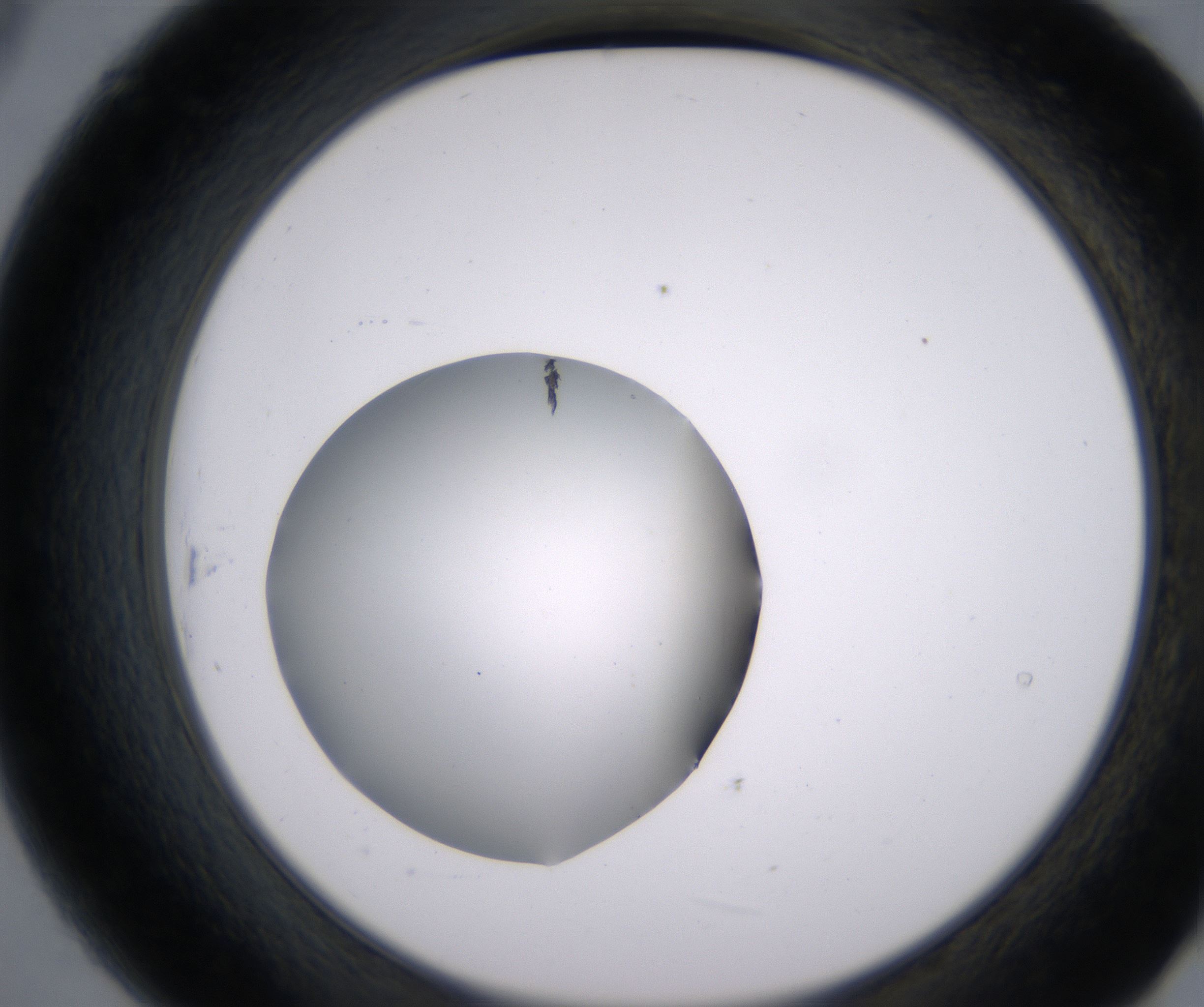 B9_HighResolution_Clear_2.jpg