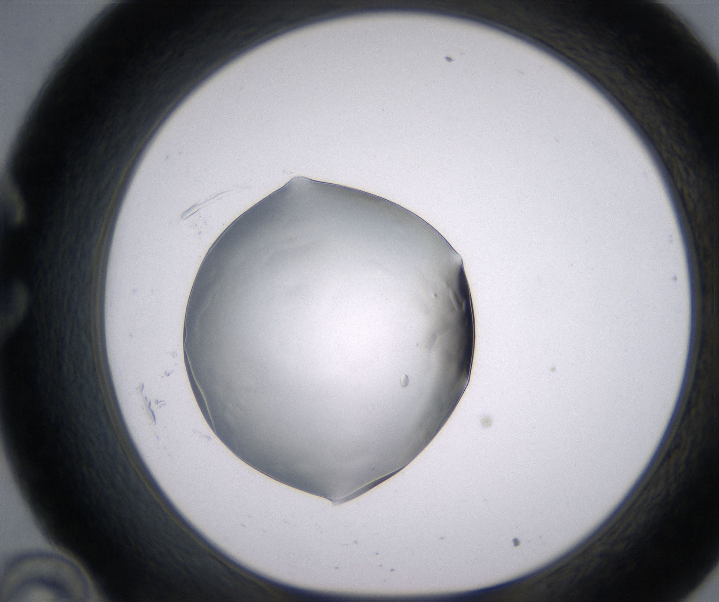C10_HighResolution_Clear_1.jpg