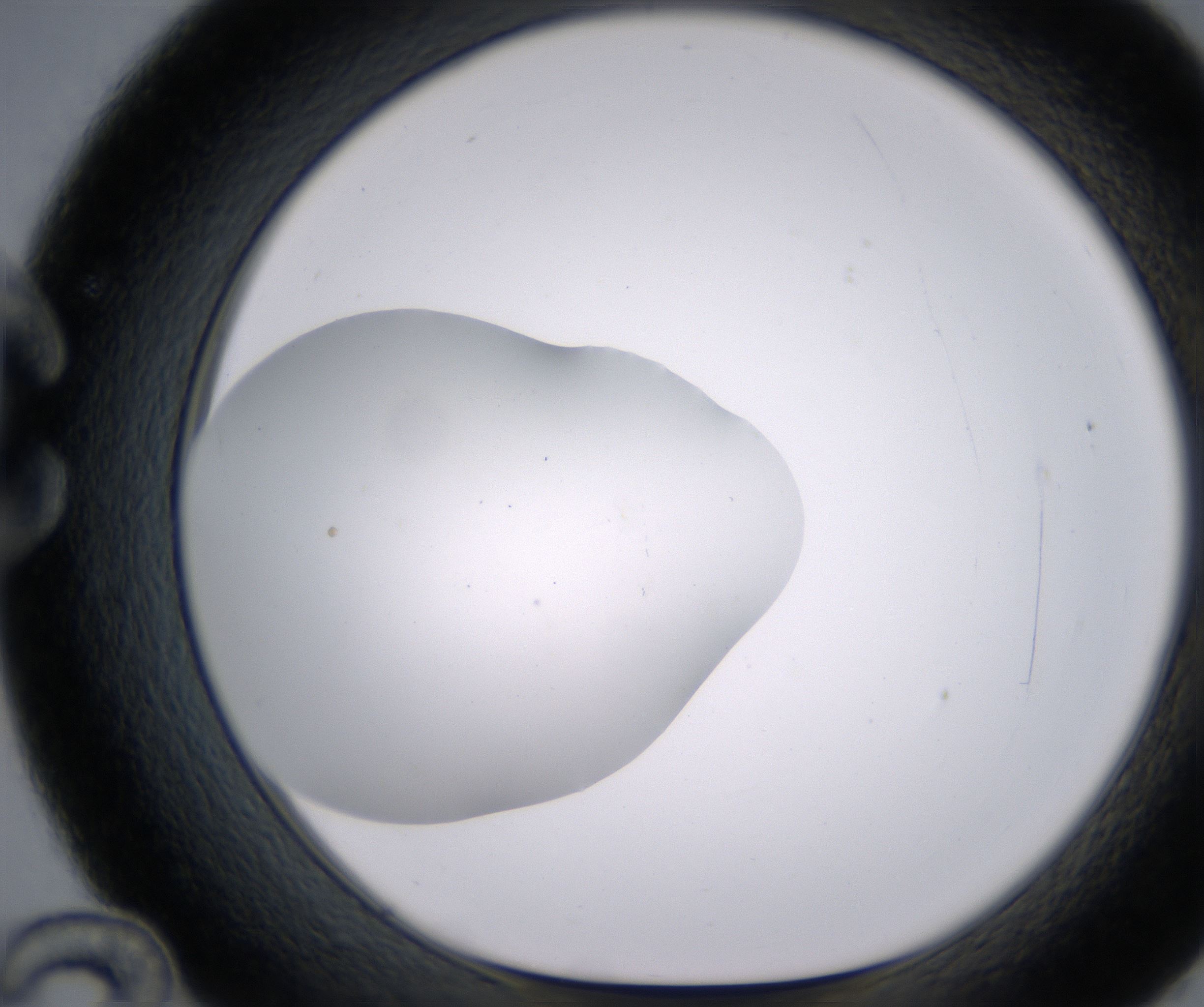 C12_HighResolution_Clear_1.jpg
