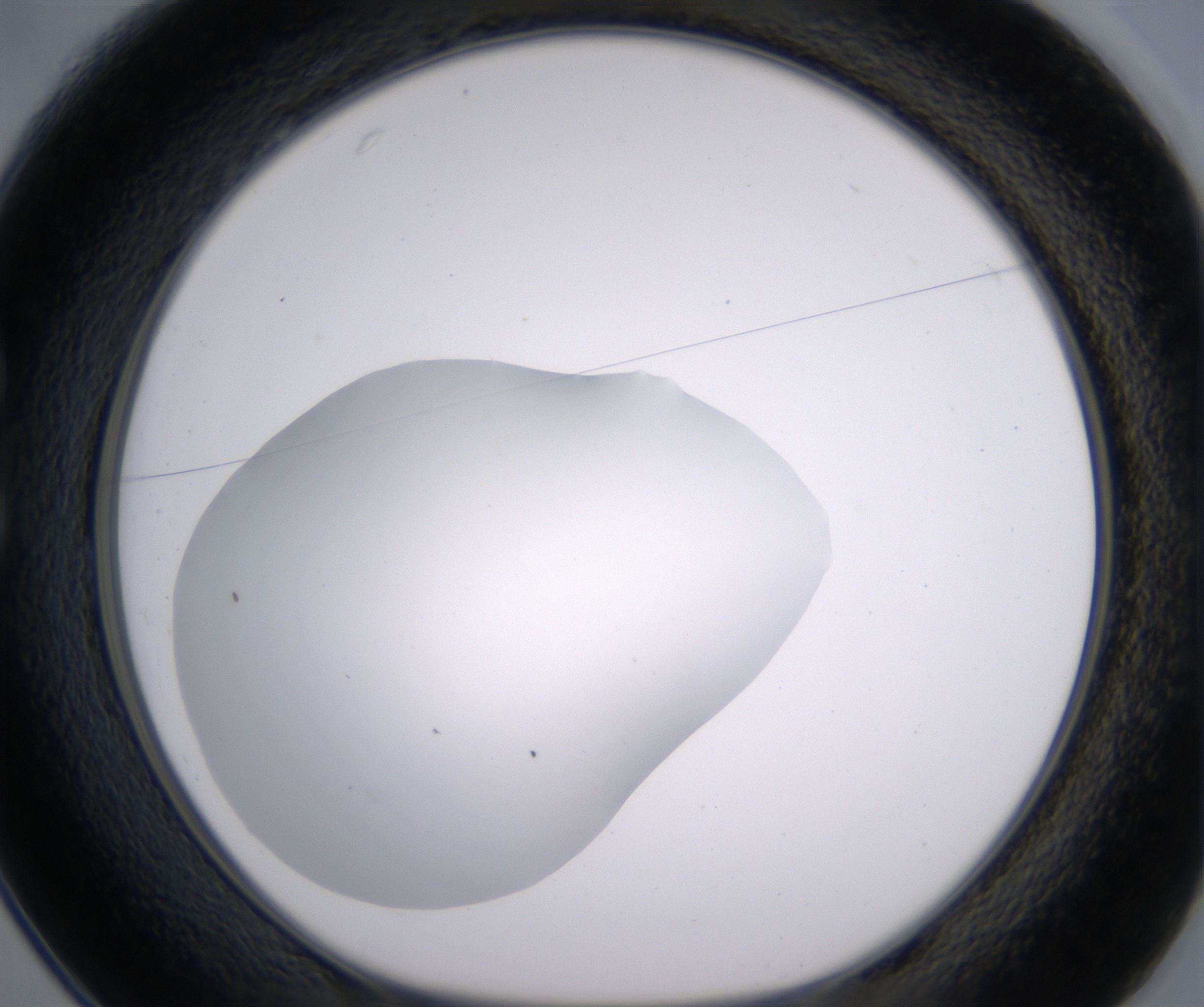 C1_HighResolution_Clear_1.jpg