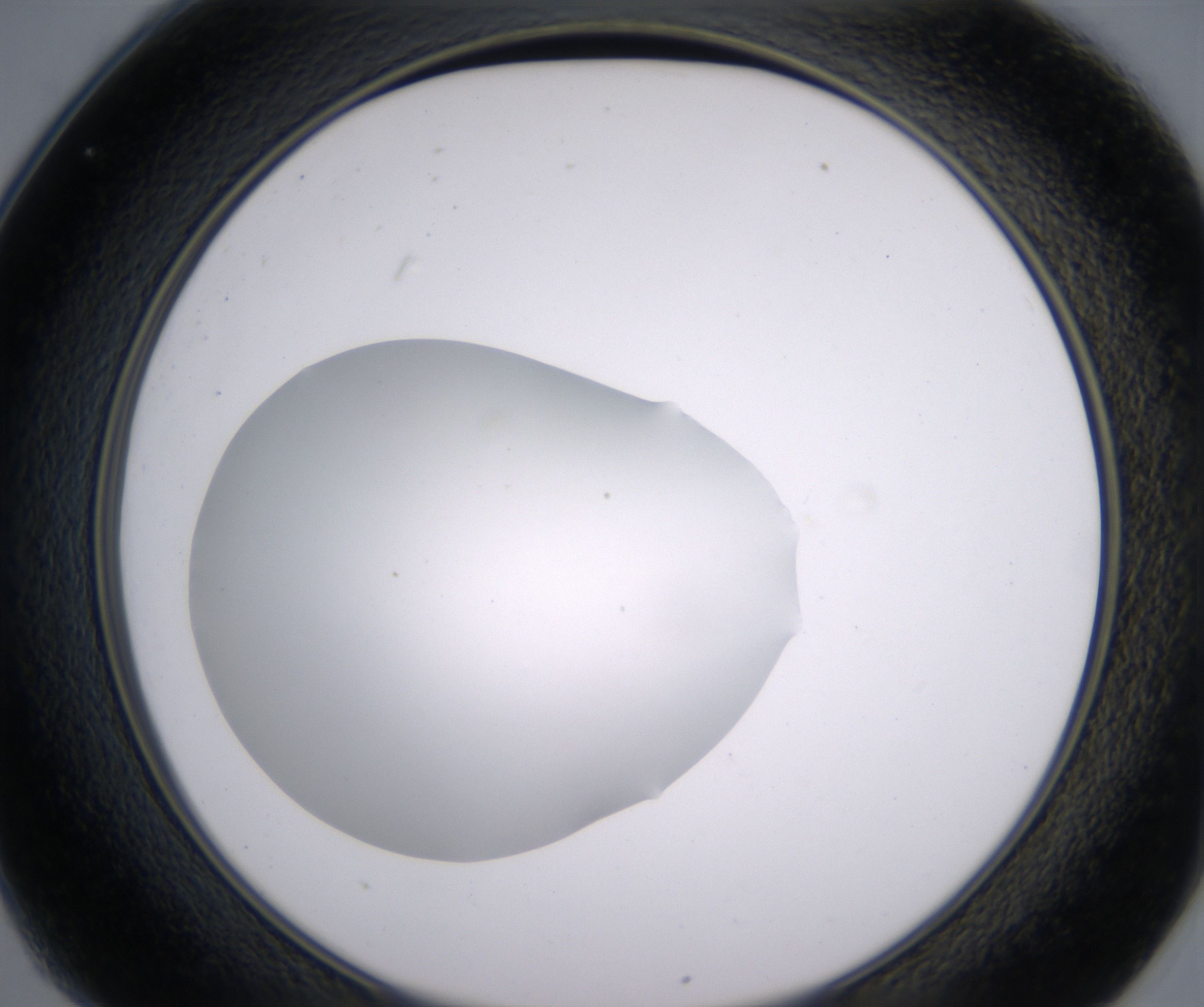C1_HighResolution_Clear_2.jpg