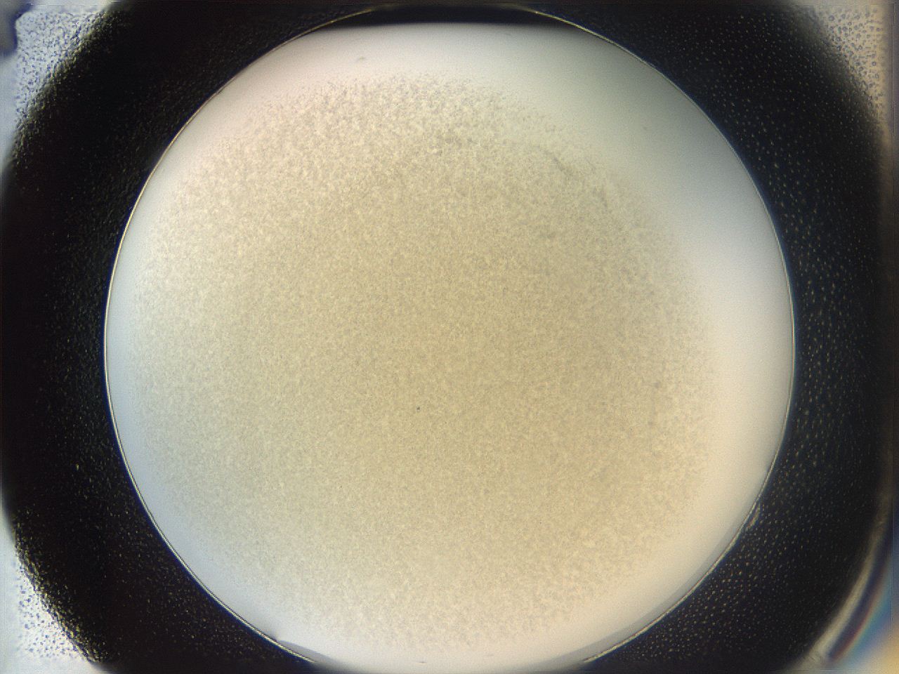 05k0_E4_ImagerDefaults_2.jpg