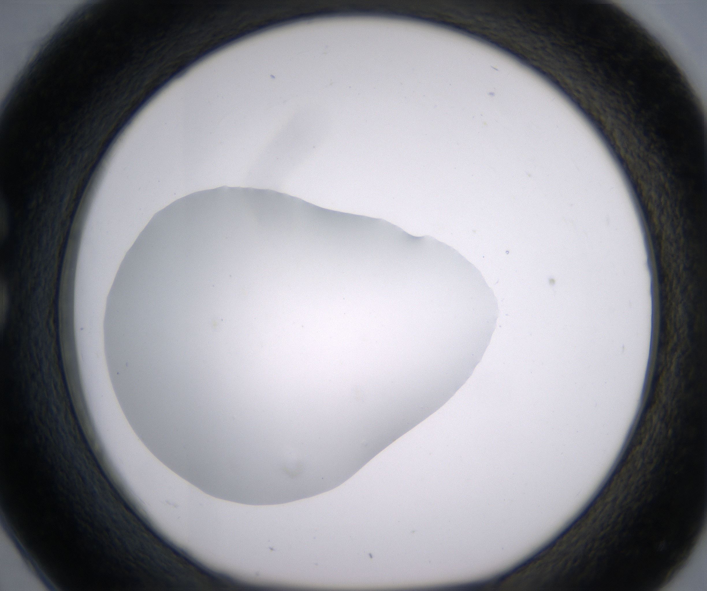 C2_HighResolution_Clear_1.jpg