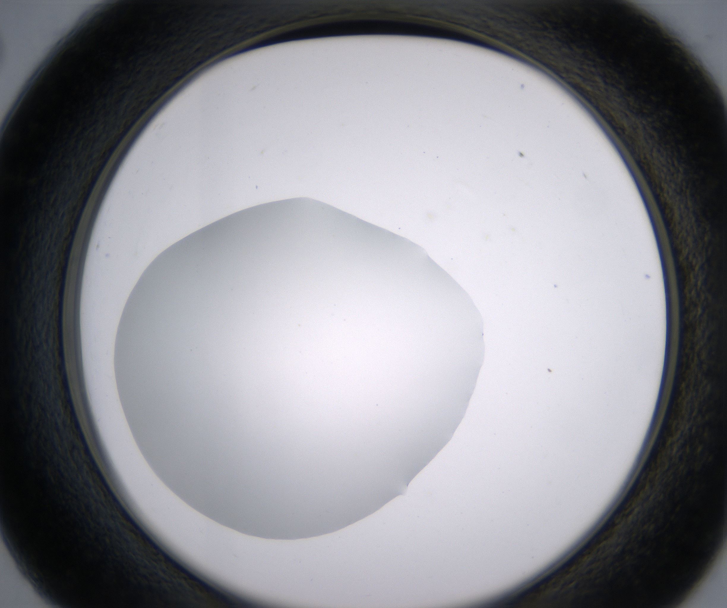 C2_HighResolution_Clear_2.jpg