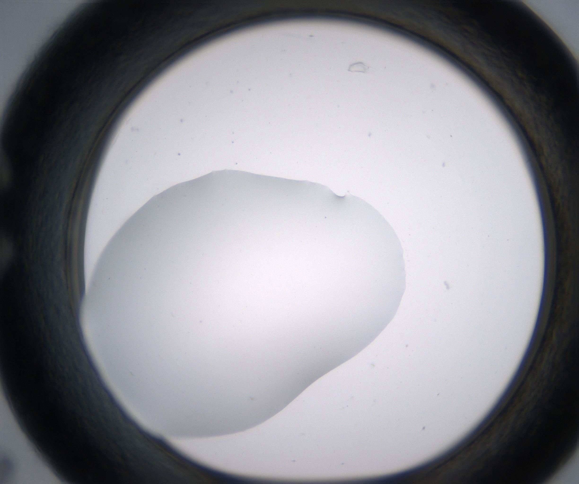 C7_HighResolution_Clear_1.jpg