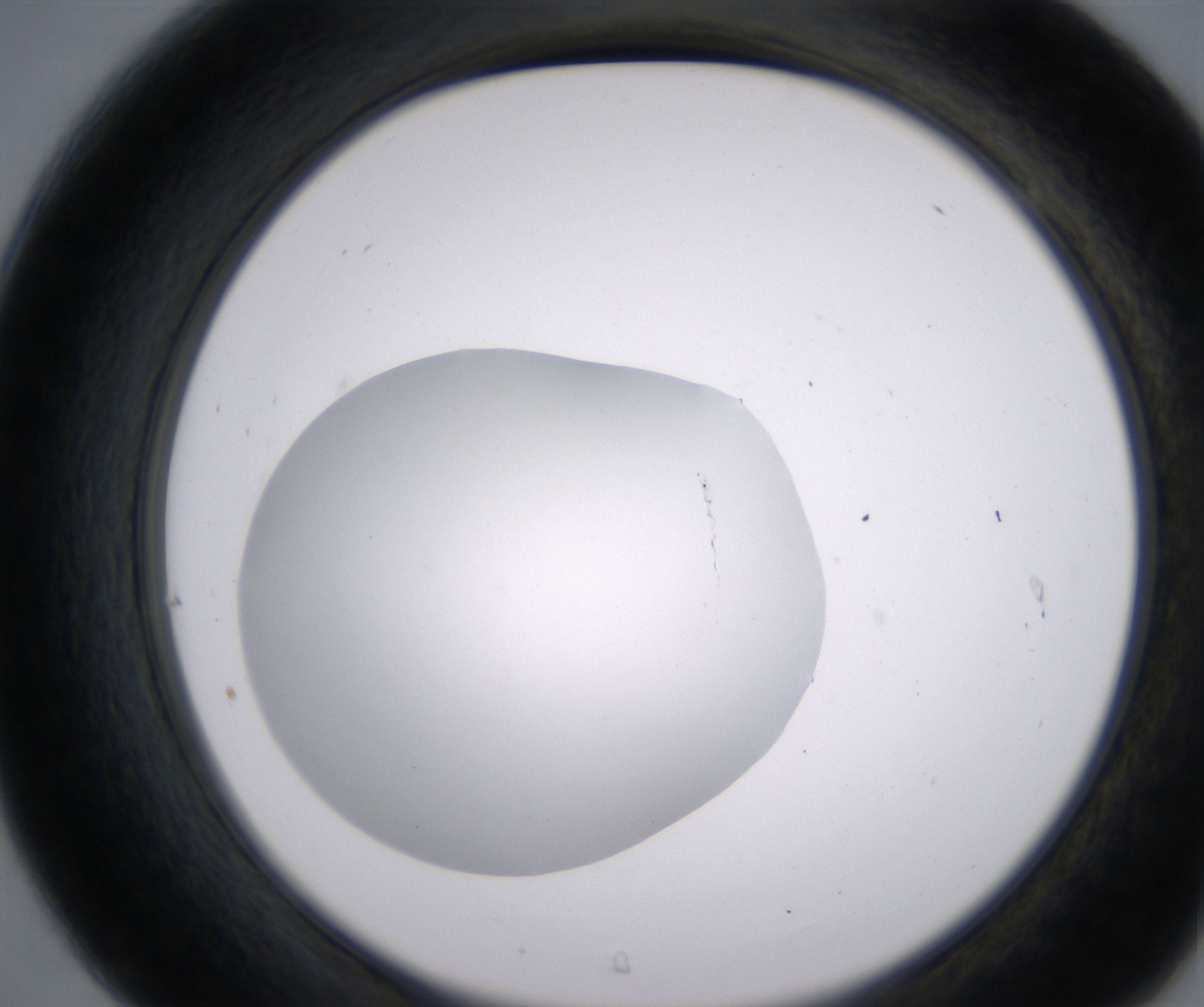 C7_HighResolution_Clear_2.jpg