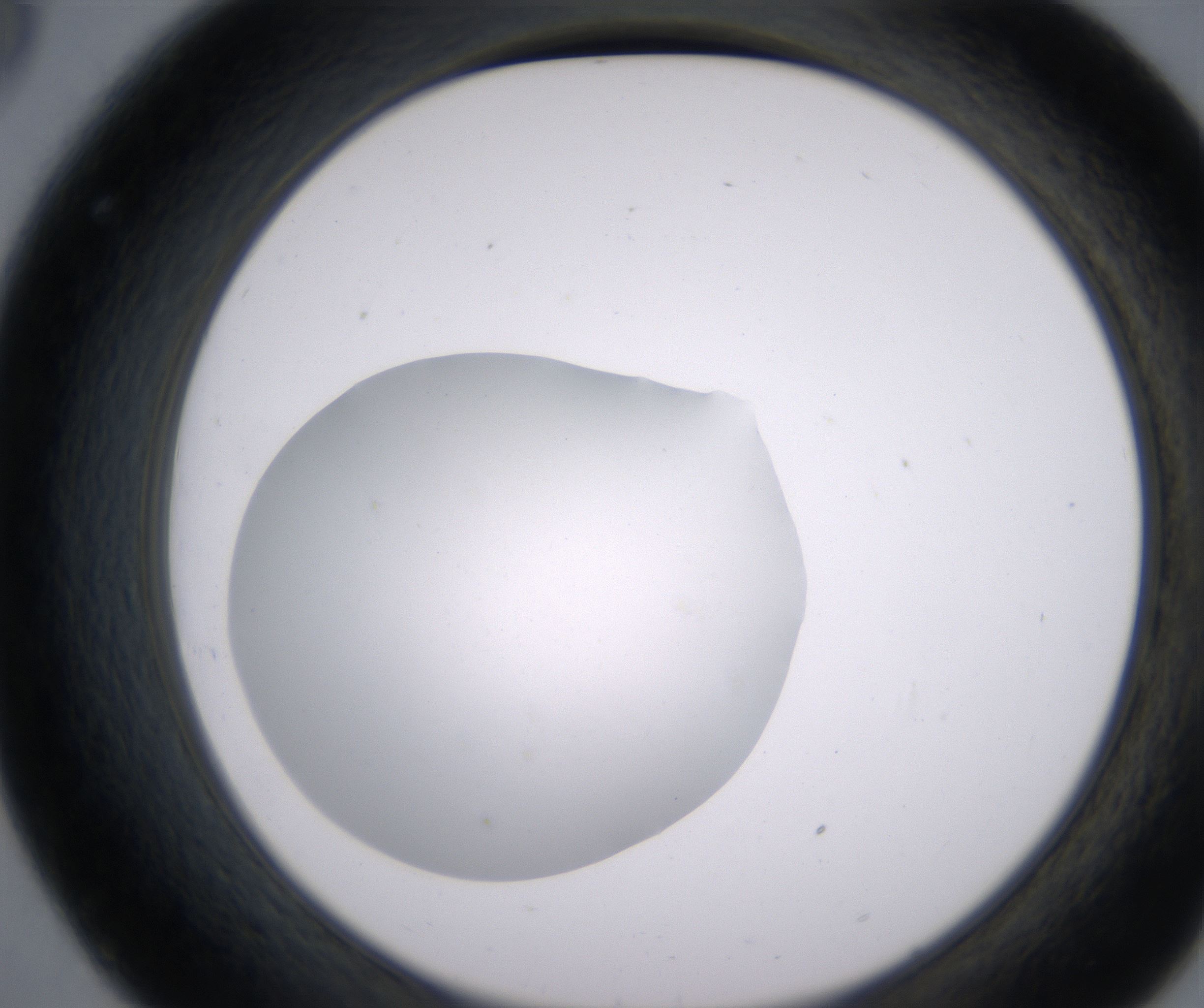 C8_HighResolution_Clear_2.jpg