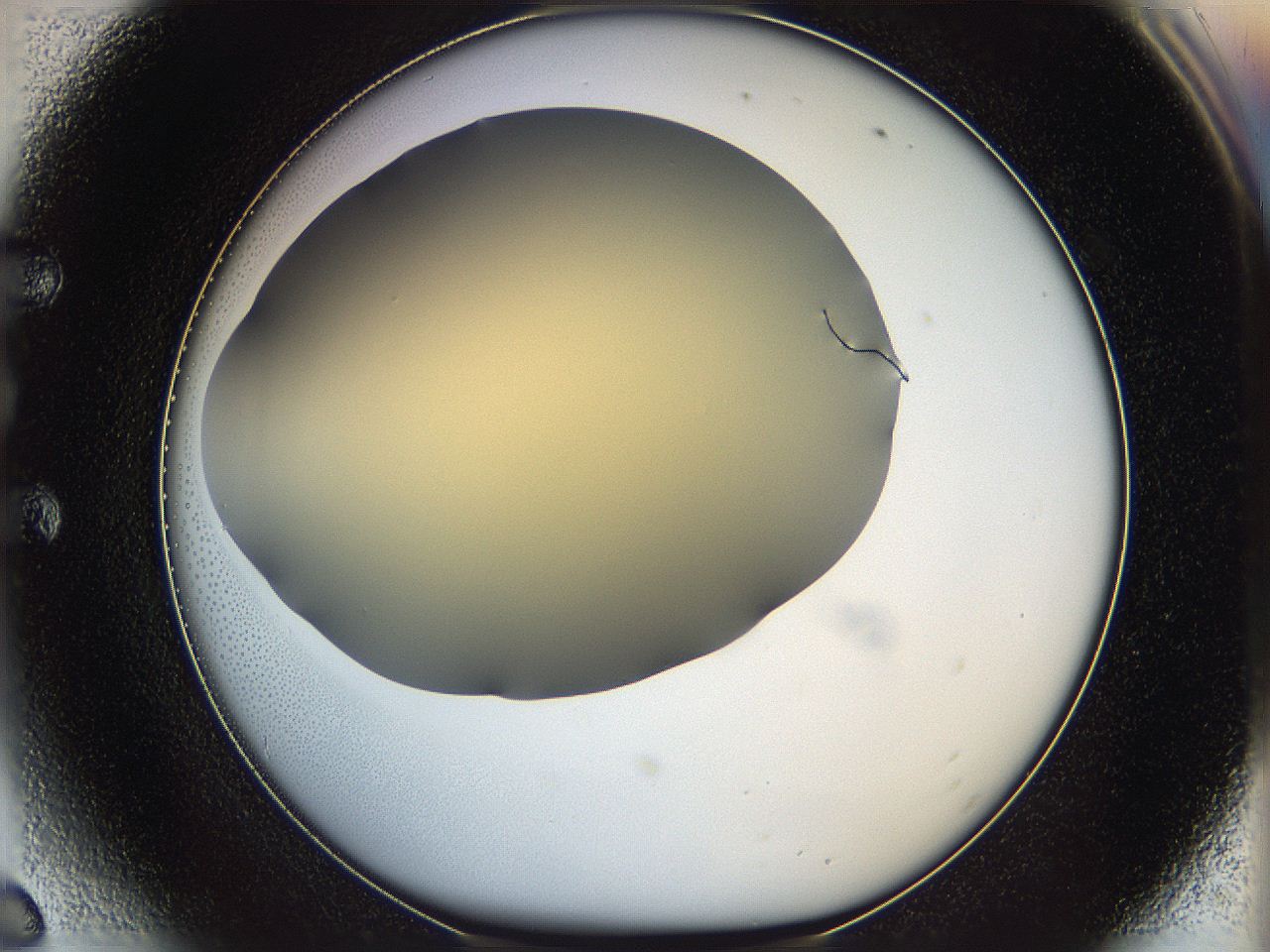 05k0_E6_ImagerDefaults_0.jpg