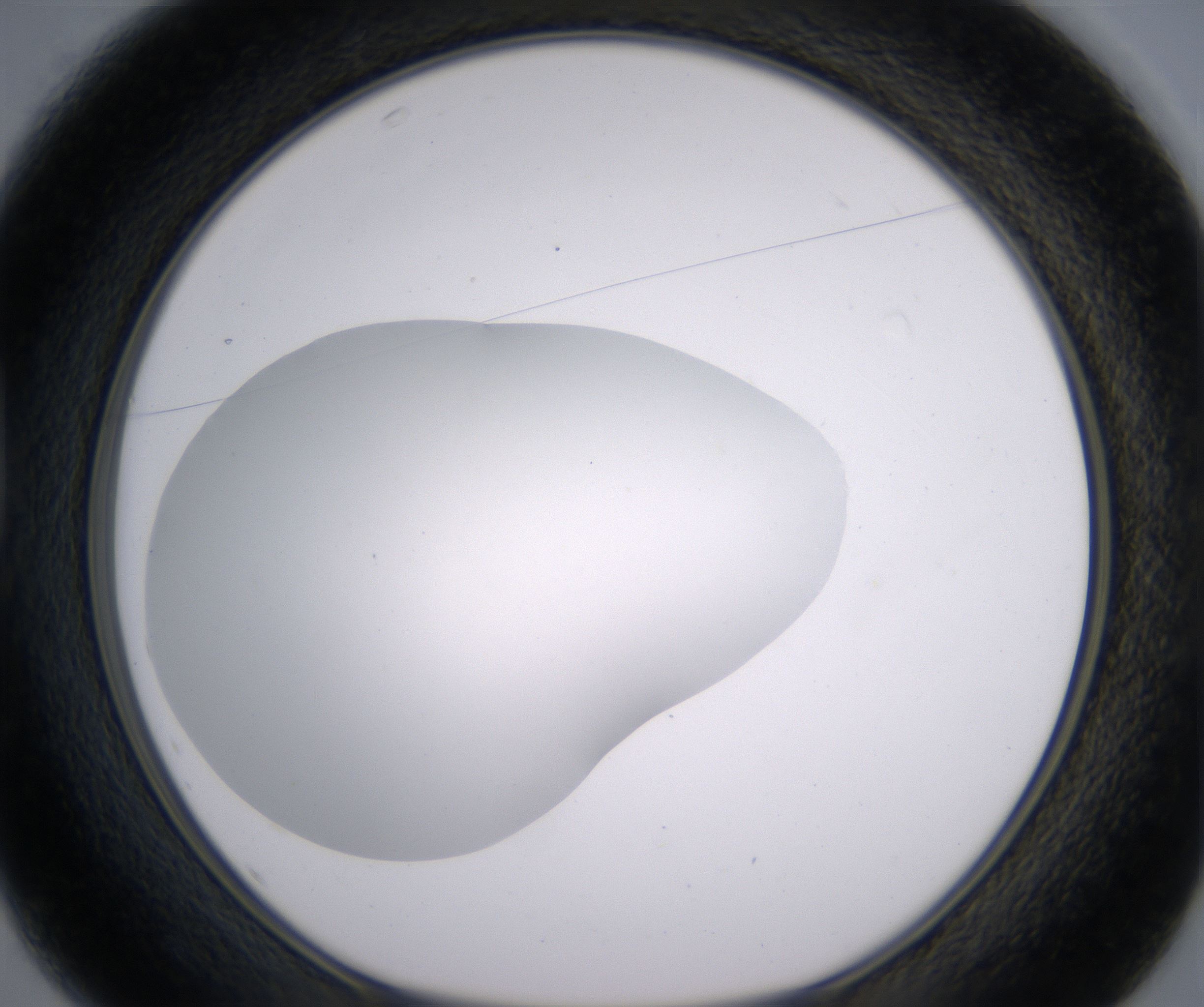 D1_HighResolution_Clear_1.jpg