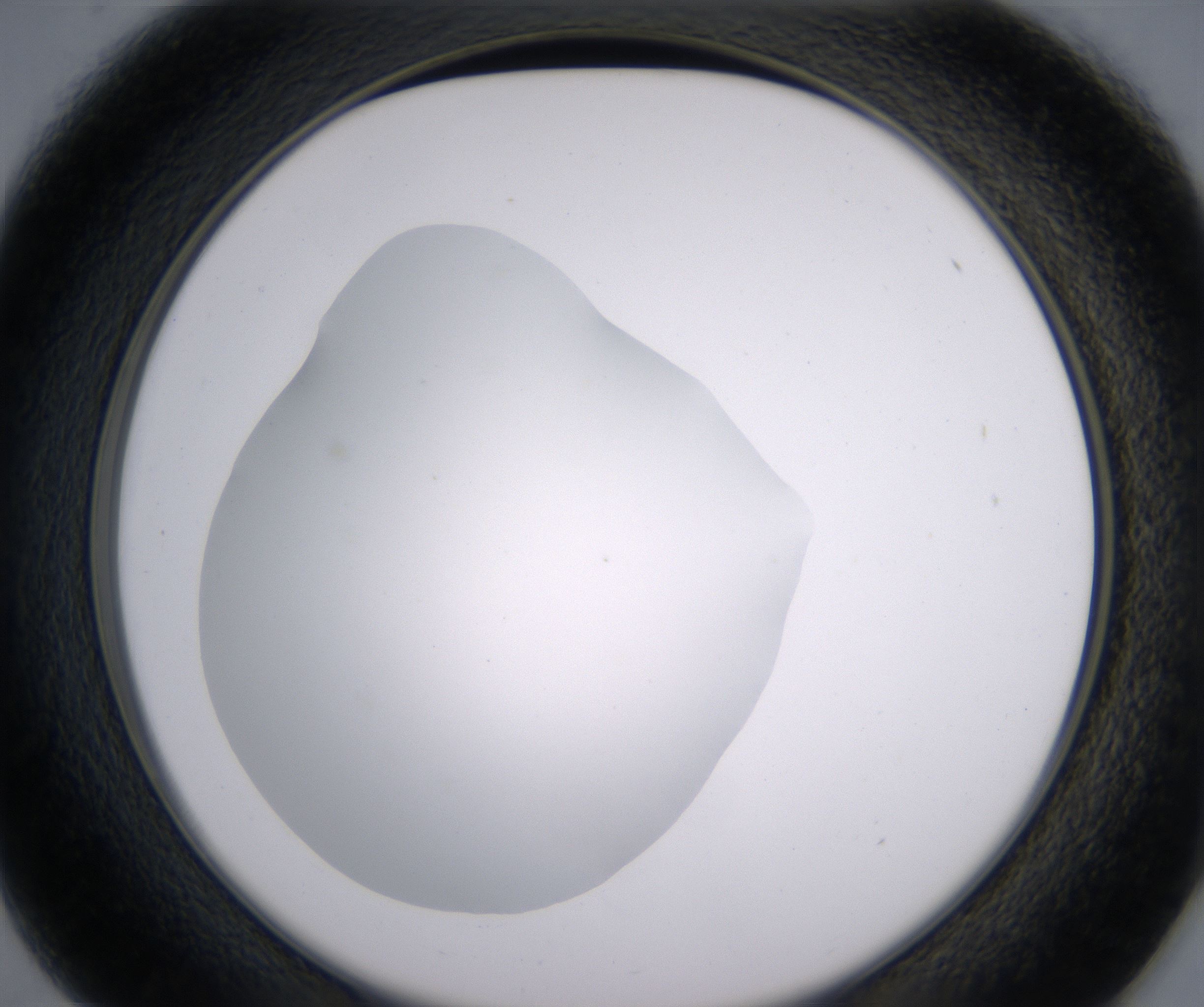 D1_HighResolution_Clear_2.jpg