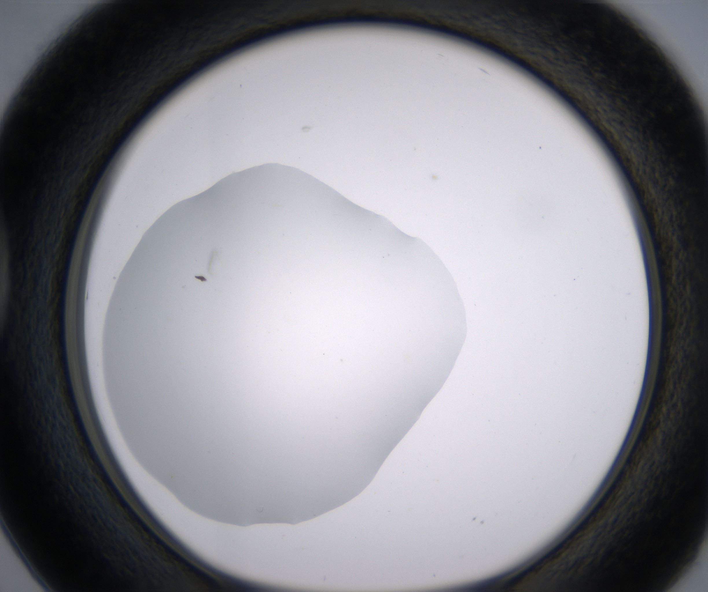 D2_HighResolution_Clear_1.jpg