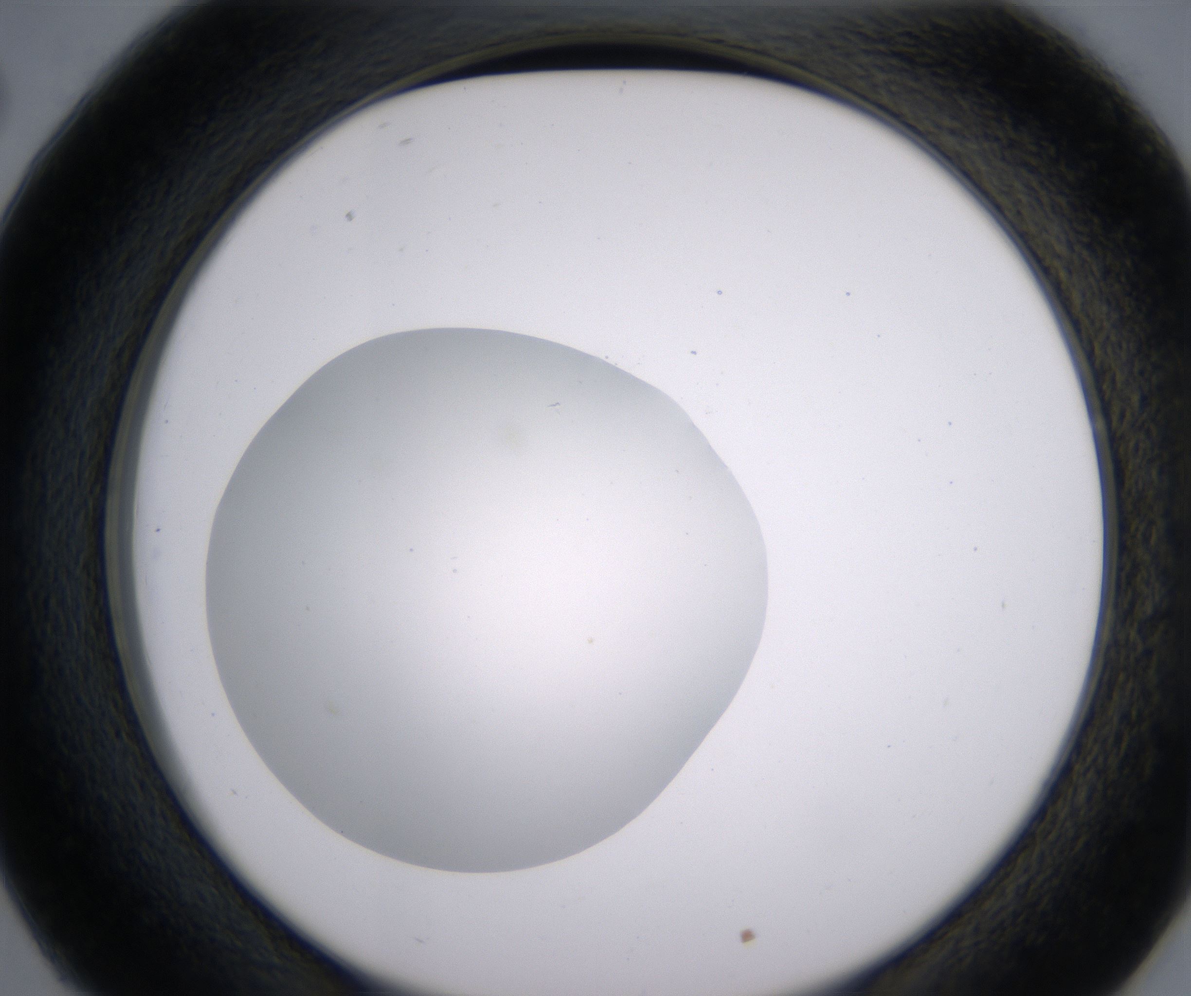 D2_HighResolution_Clear_2.jpg