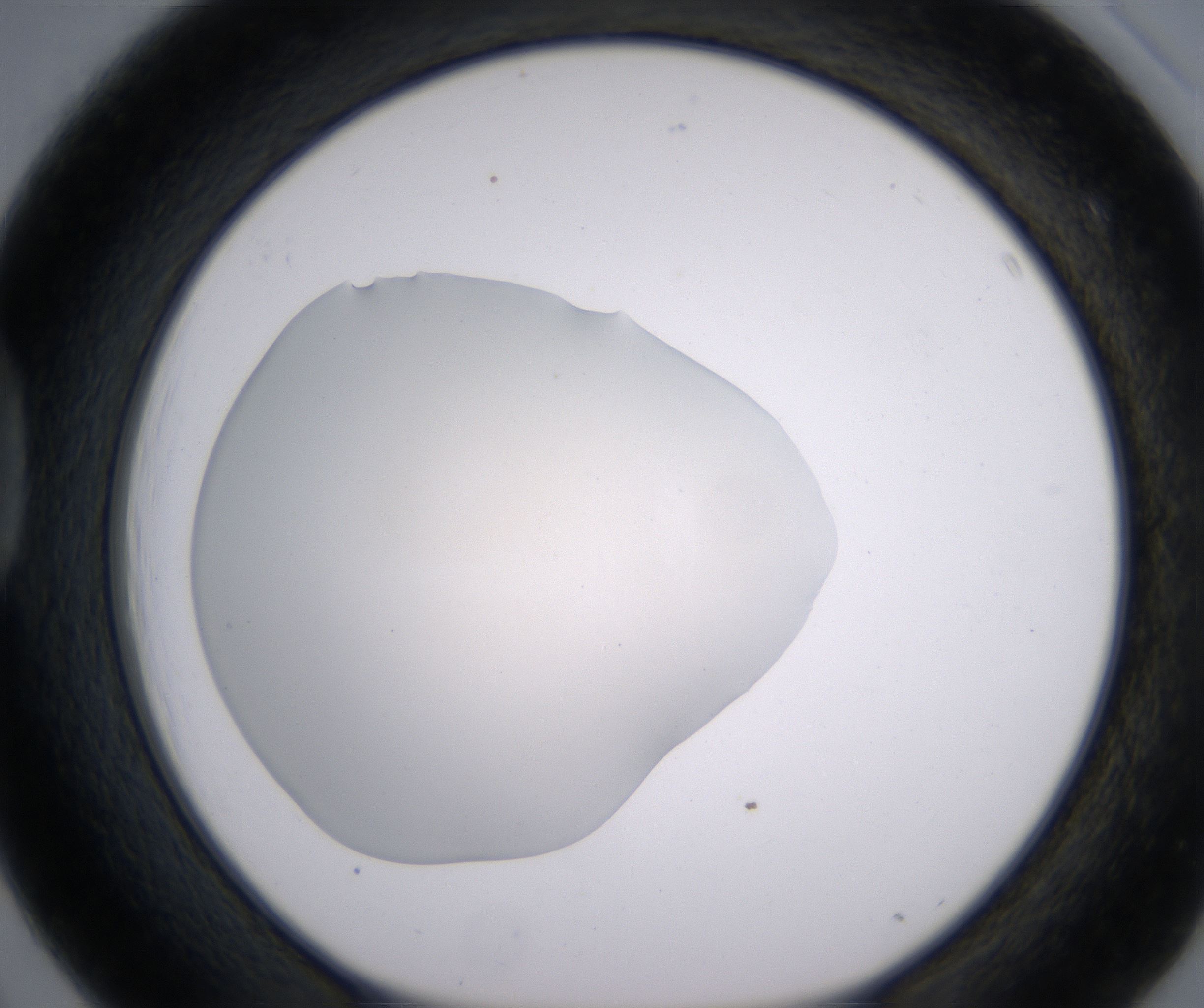 D3_HighResolution_Clear_1.jpg