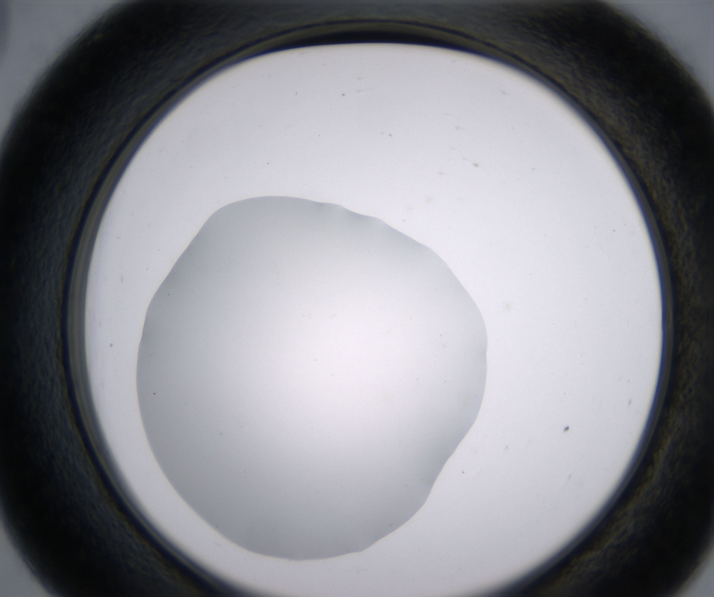 D3_HighResolution_Clear_2.jpg
