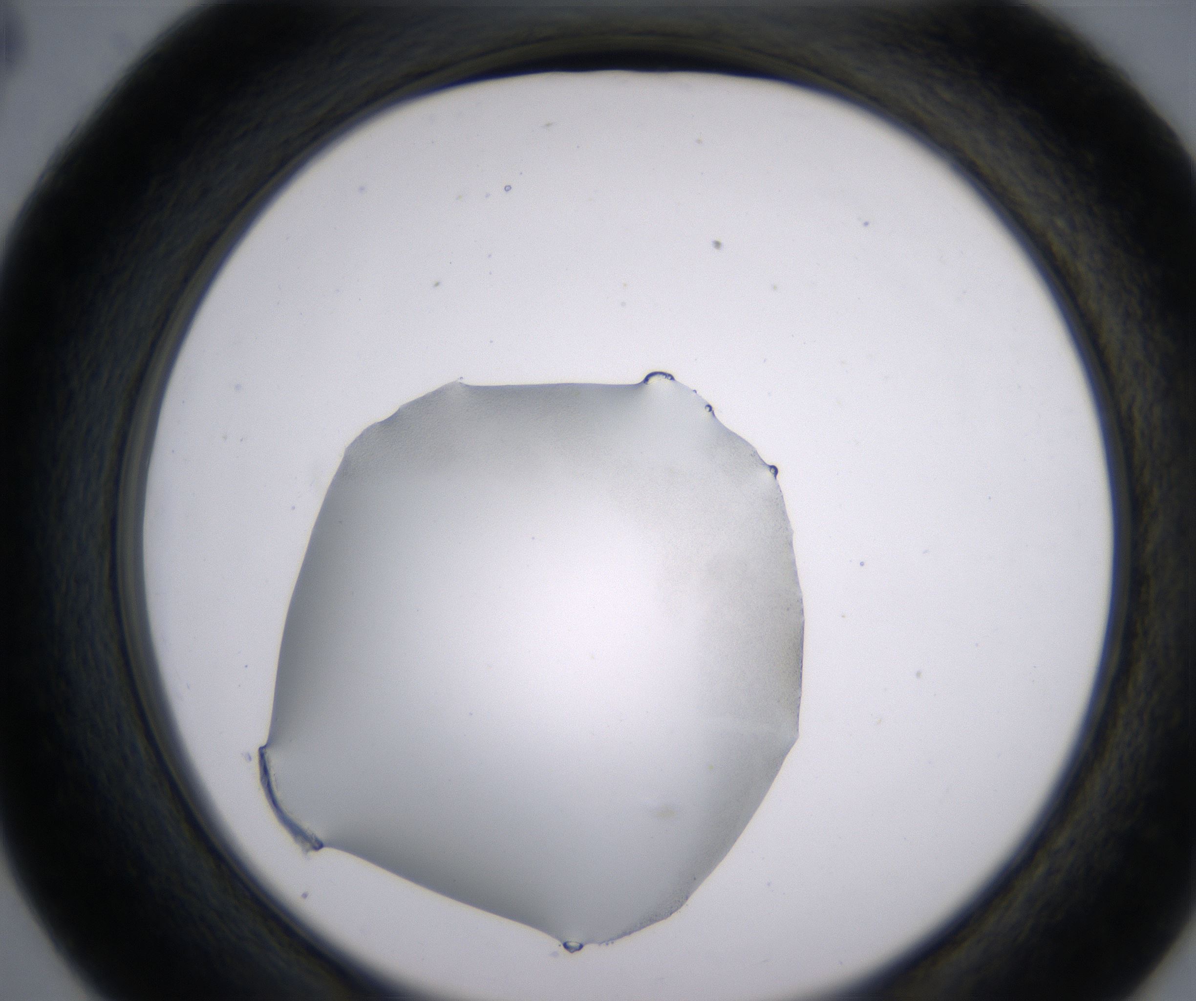 D4_HighResolution_Clear_2.jpg