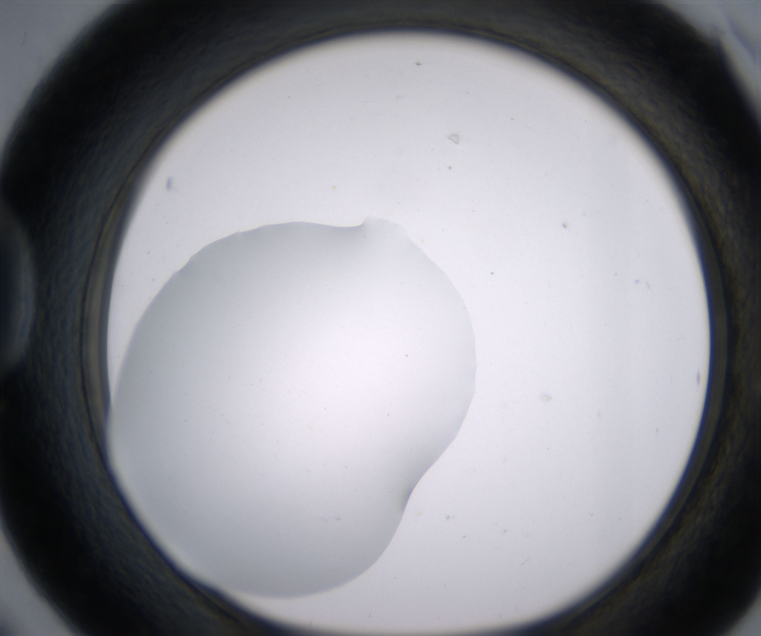 D6_HighResolution_Clear_1.jpg