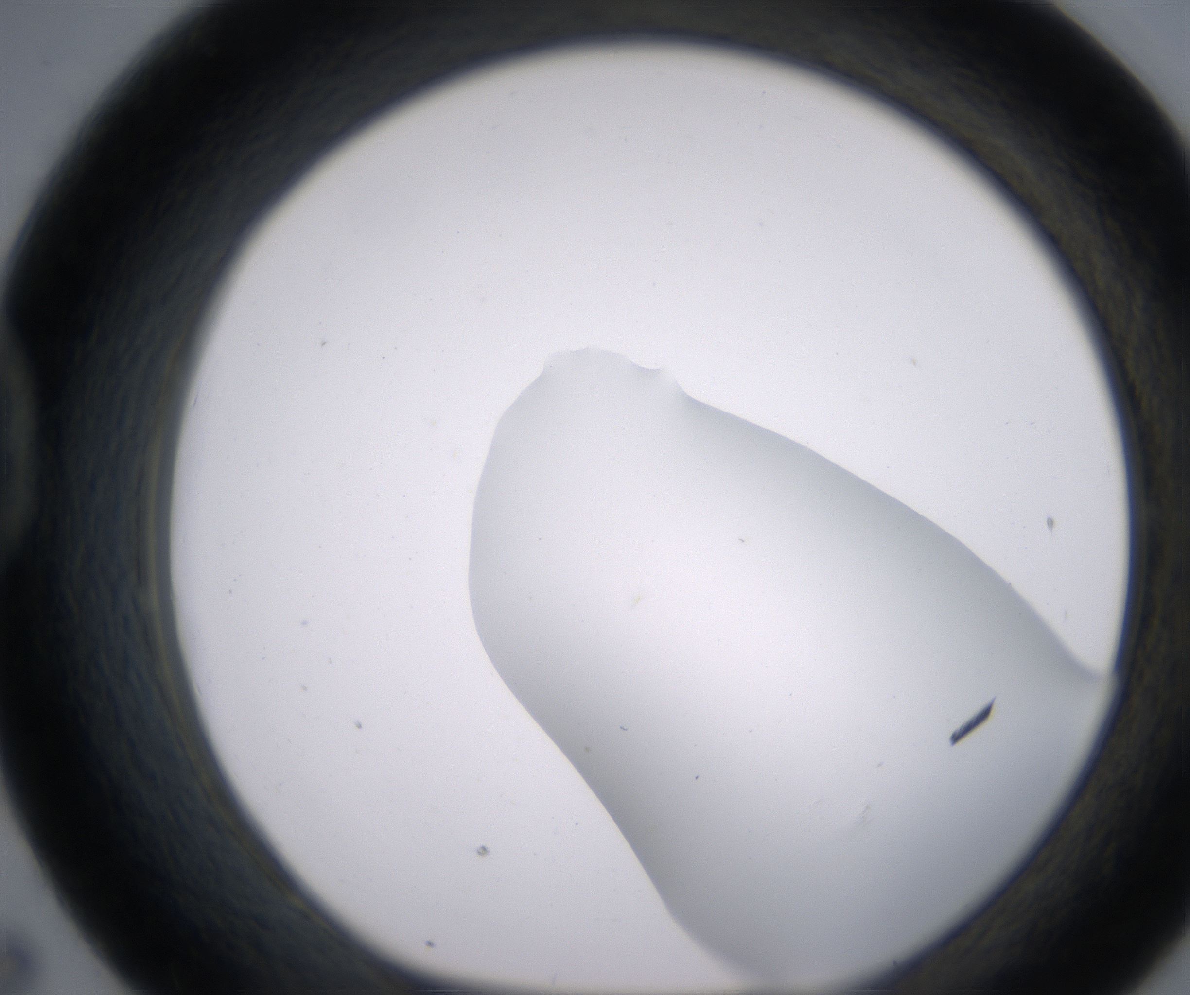 D7_HighResolution_Clear_1.jpg
