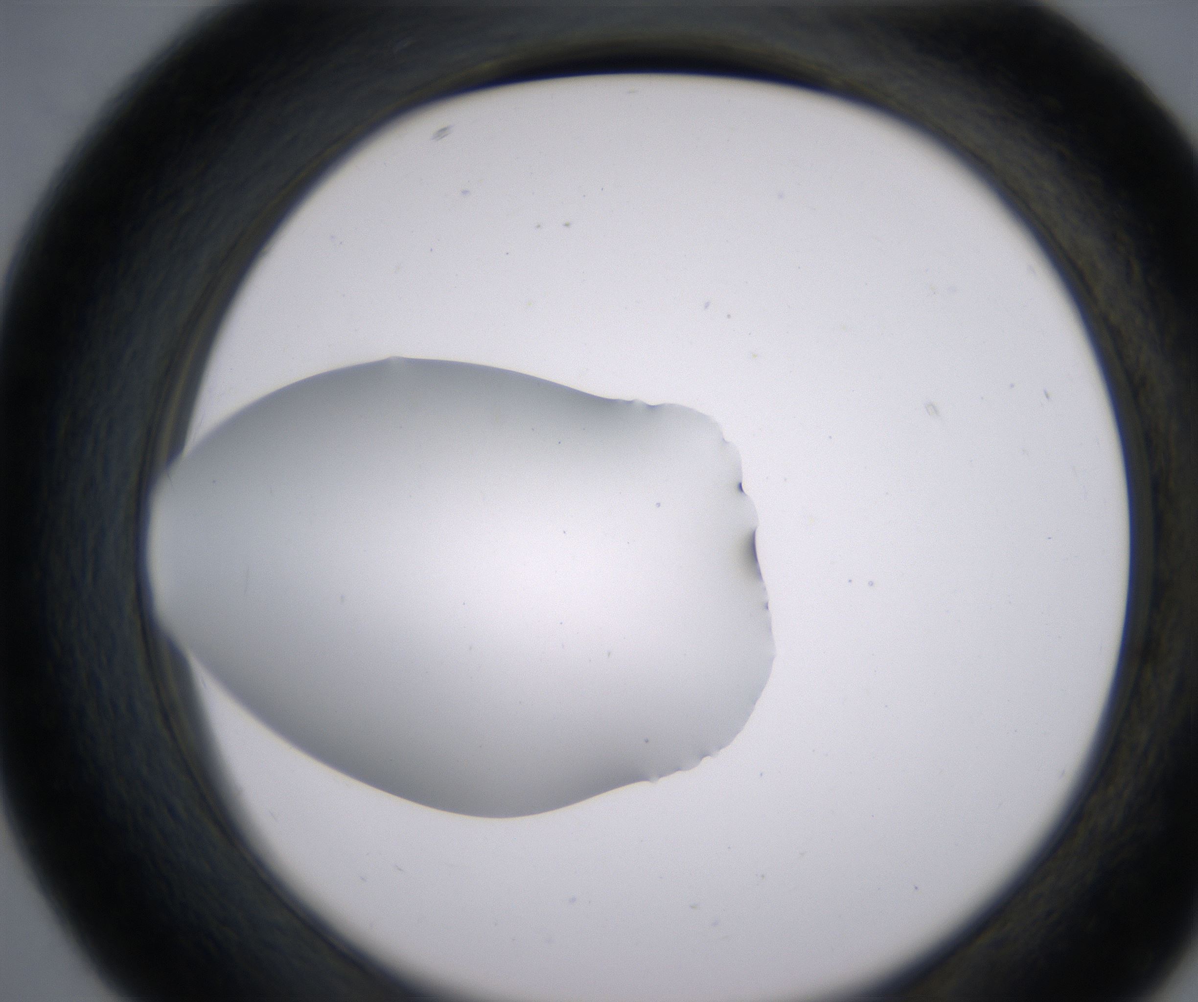 D7_HighResolution_Clear_2.jpg