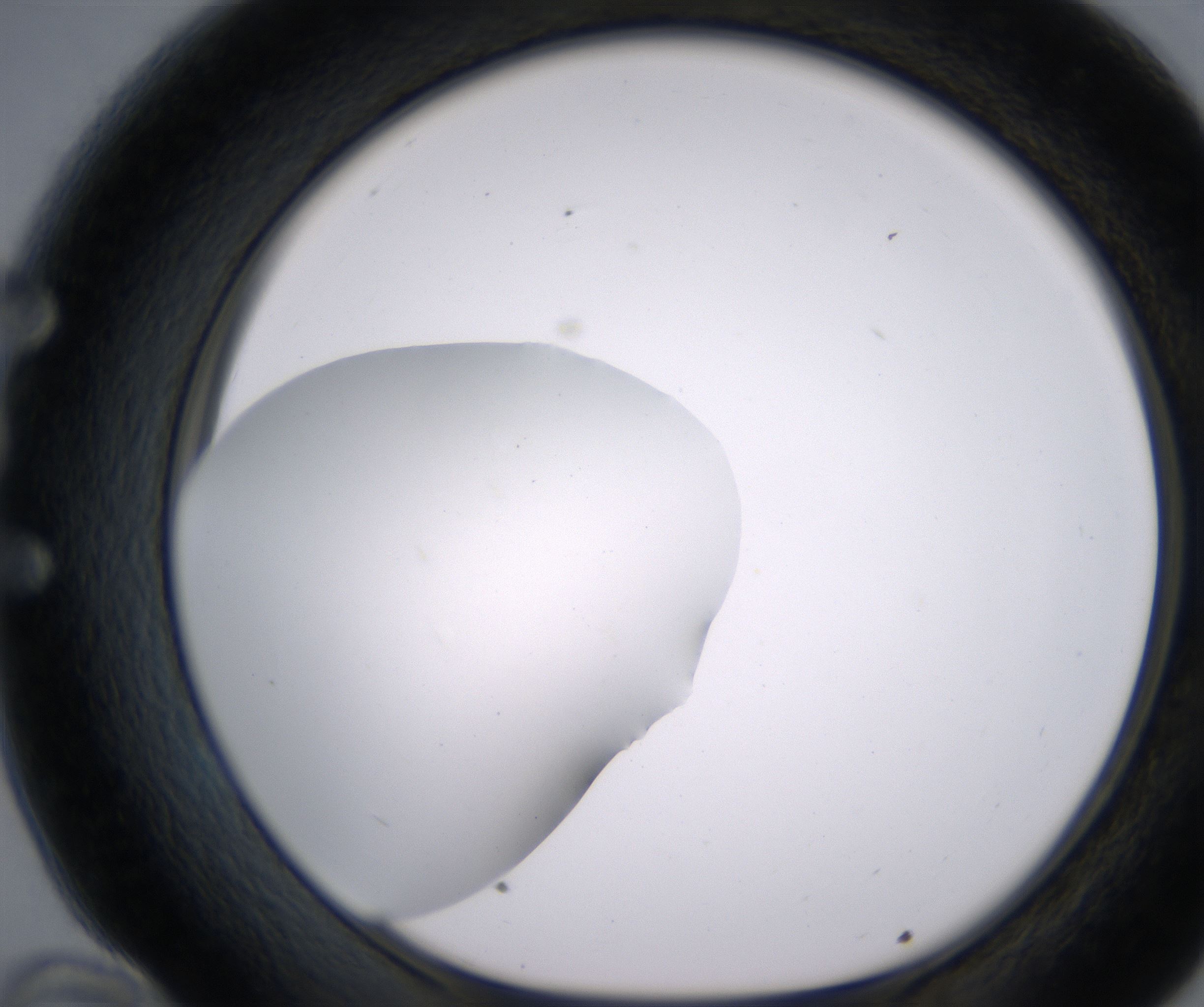 E10_HighResolution_Clear_1.jpg