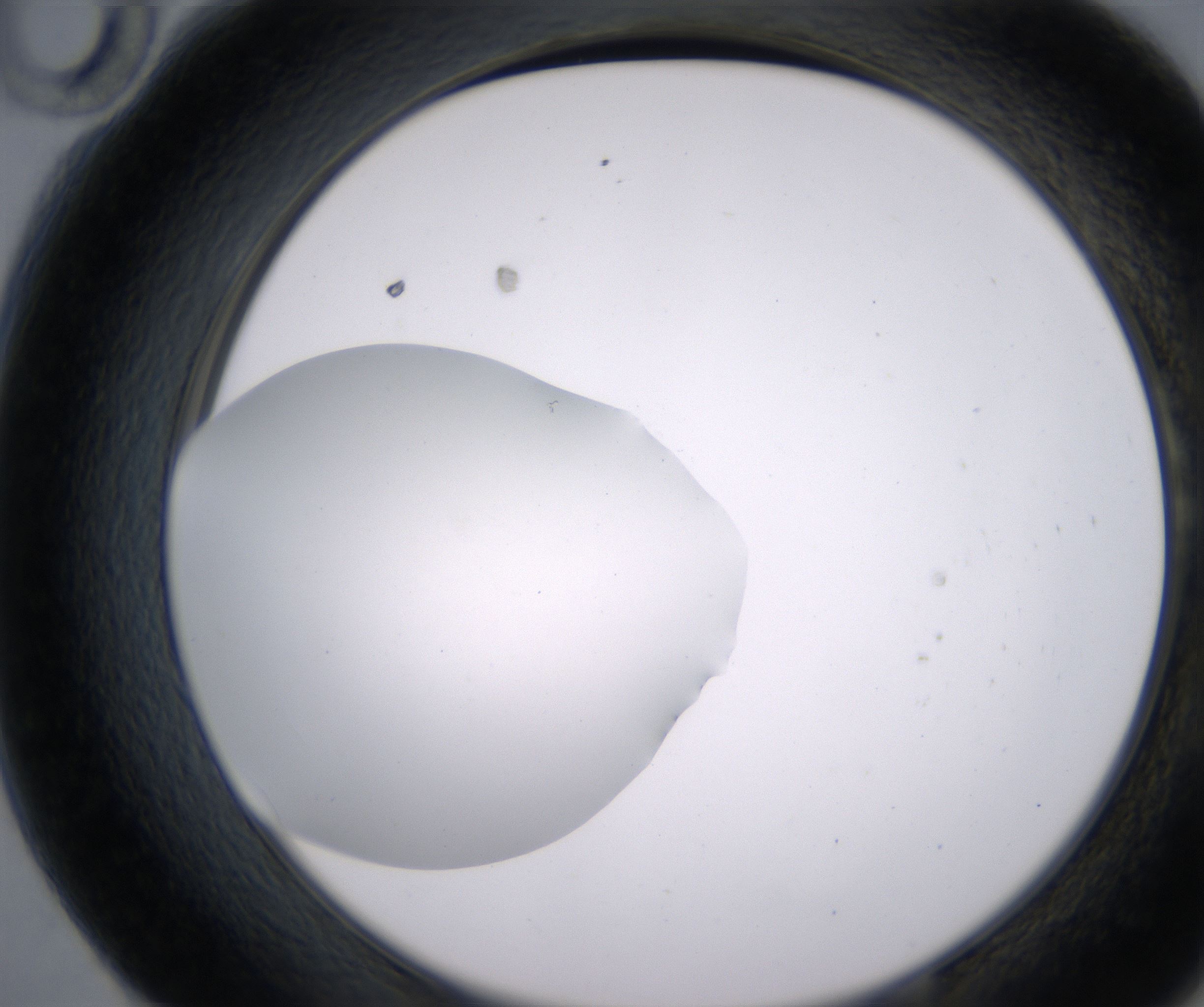 E10_HighResolution_Clear_2.jpg